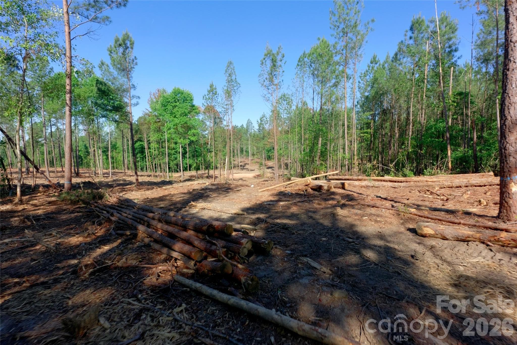 Acreage at 0 Carson Road, Cleveland, photo 4 of 17