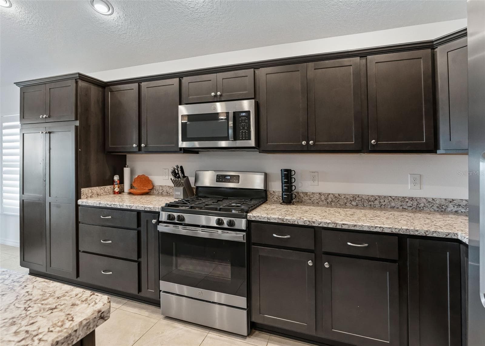 Single Family Residence at 1110 EBLING LOOP, THE VILLAGES, photo 15 of 36