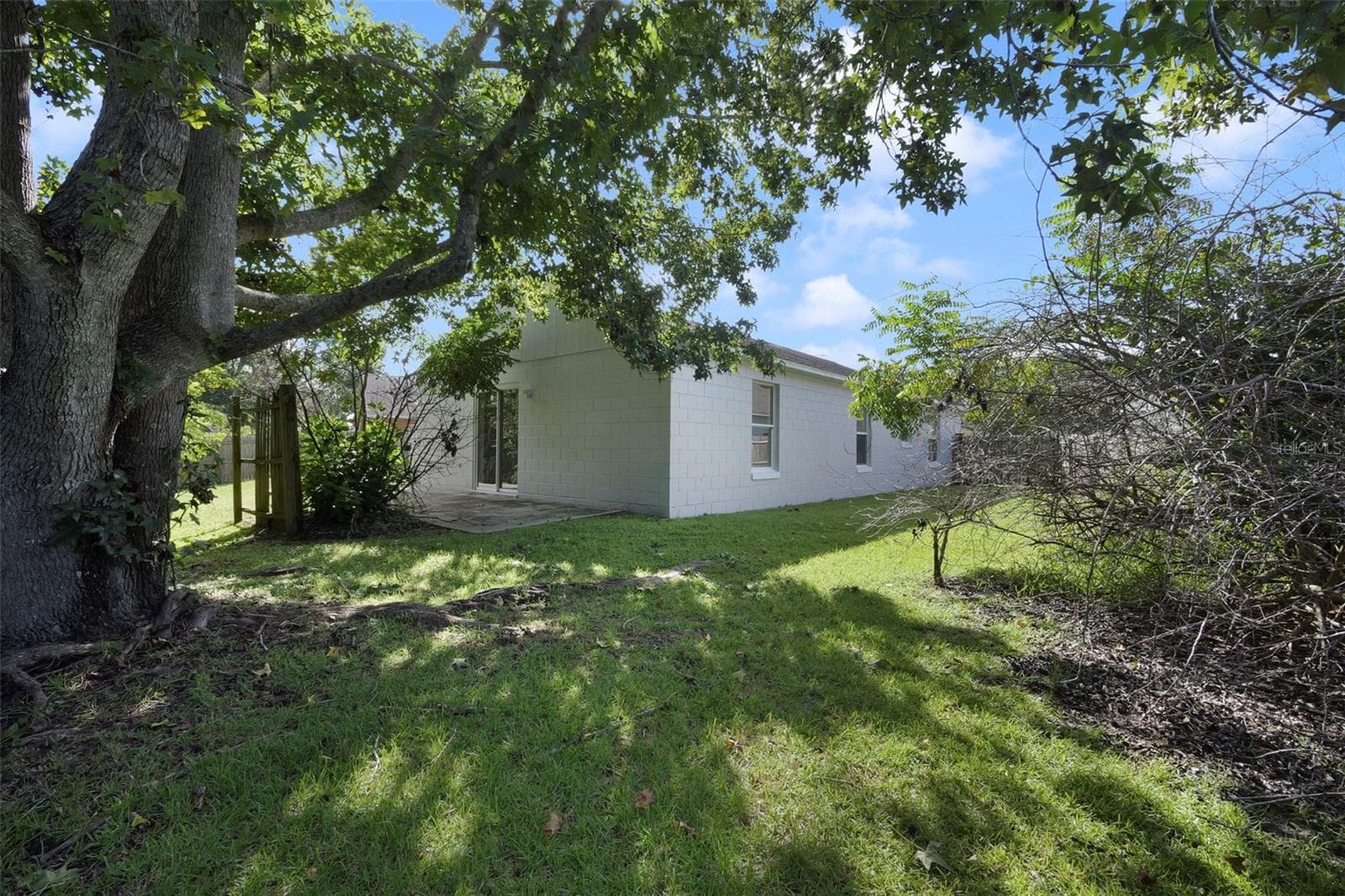 Large tree for shade - 13659 GLASSER AVE, ORLANDO