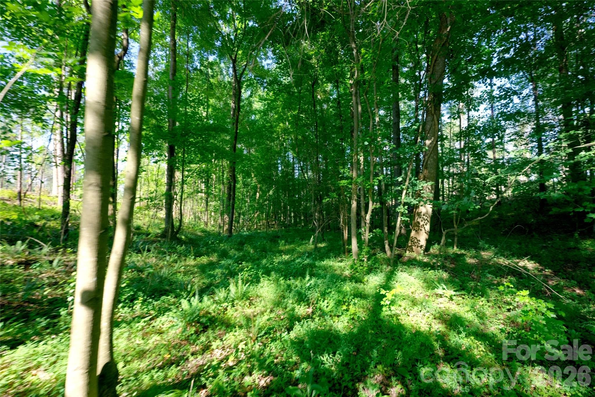 Acreage at 0 Carson Road, Cleveland, photo 6 of 17
