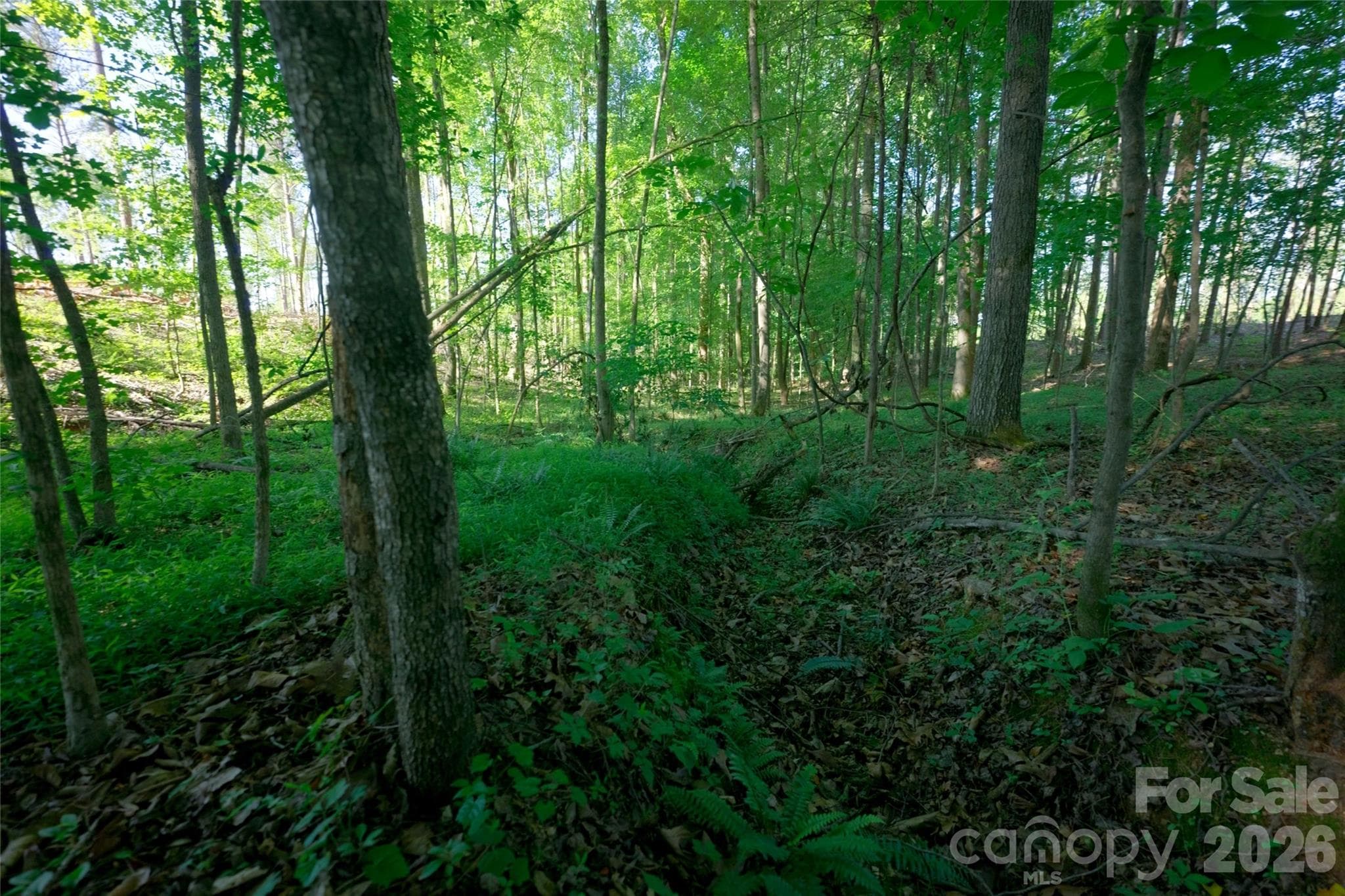 Acreage at 0 Carson Road, Cleveland, photo 7 of 17