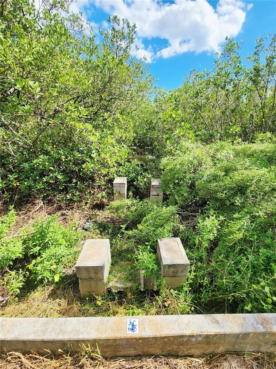 Land at 3825 SHORE BLVD, OLDSMAR, photo 13 of 18
