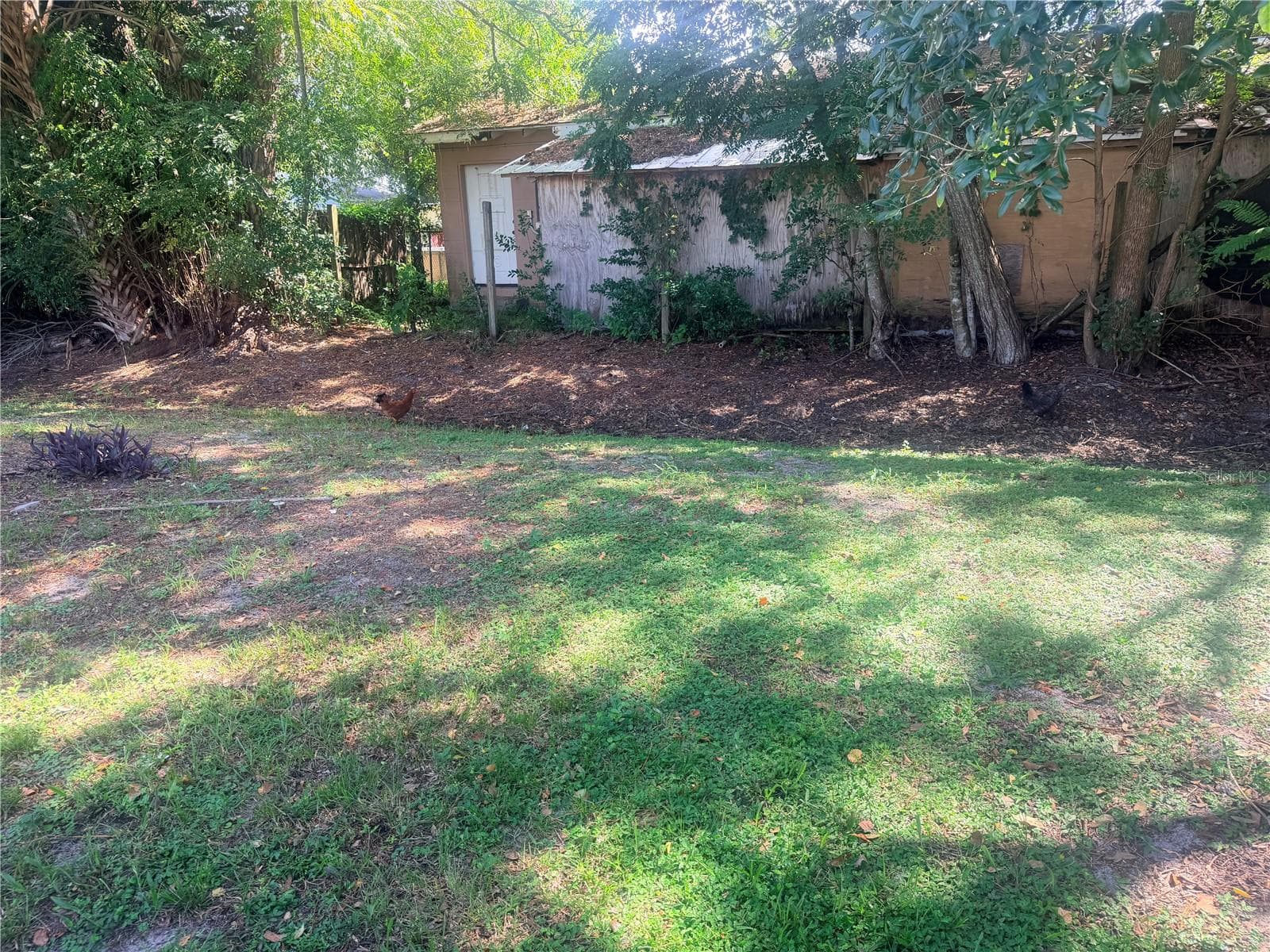 Backyard - 615 ASH ST, AUBURNDALE