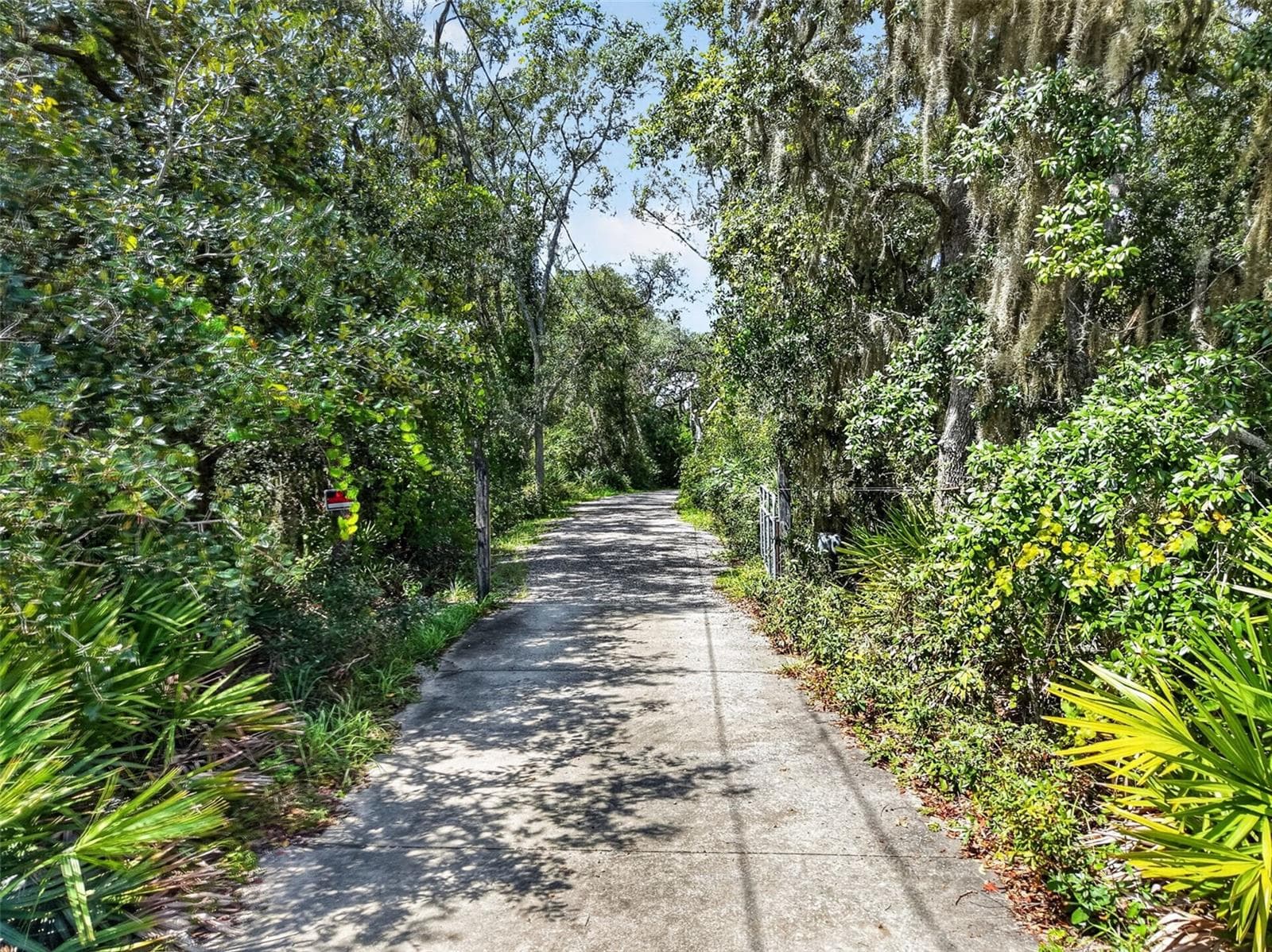 Your driveway leading home. - 35015 RADIO RD, LEESBURG
