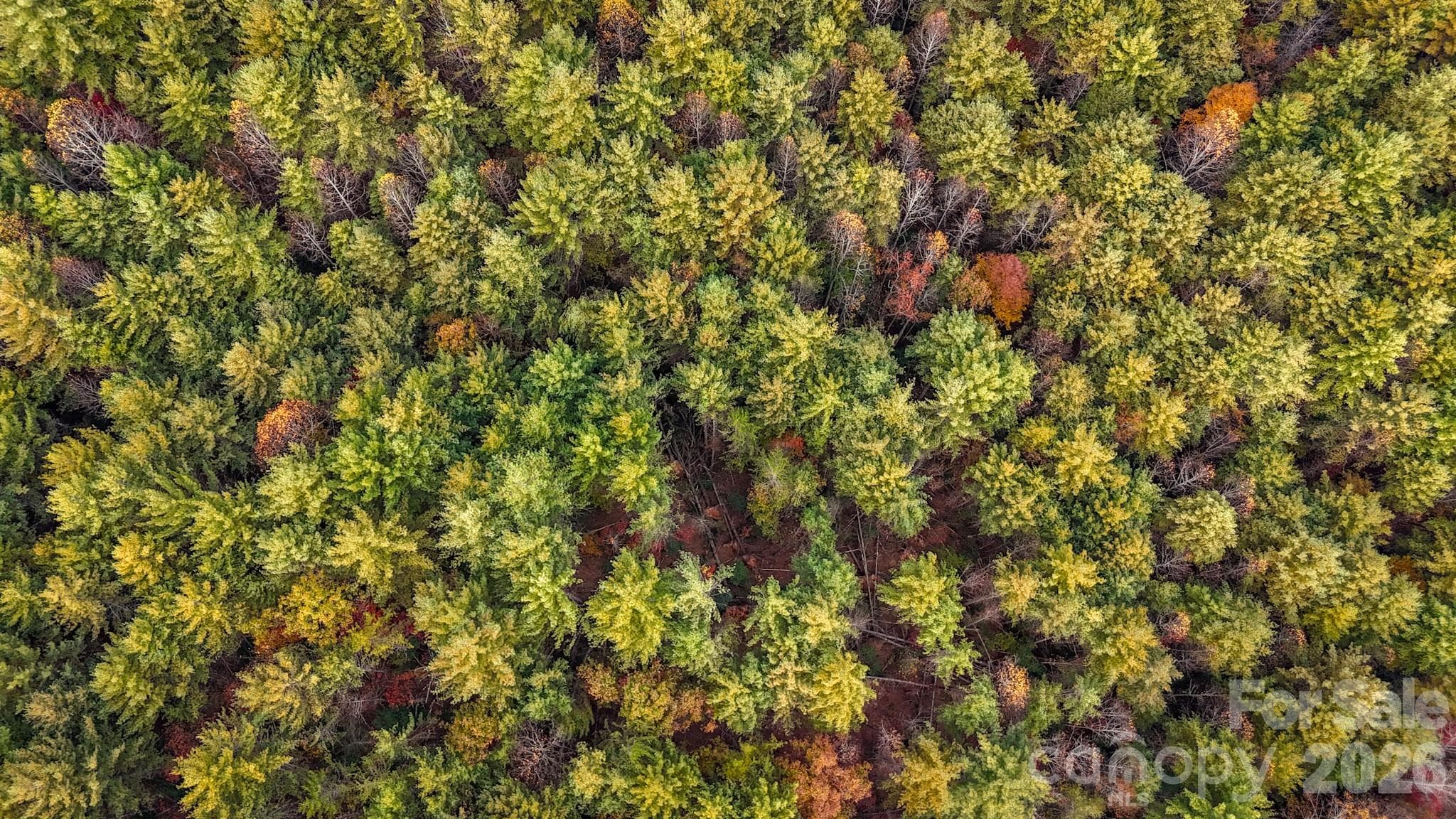 Lot at 00 Carsons Way, Collettsville, photo 12 of 17