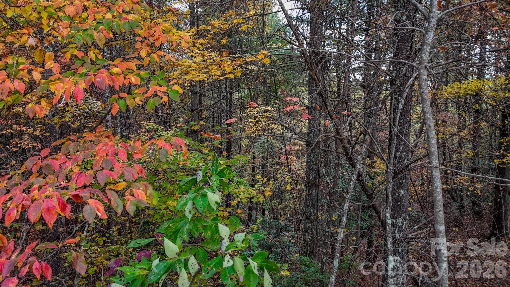 Lot at 00 Carsons Way, Collettsville, photo 15 of 17