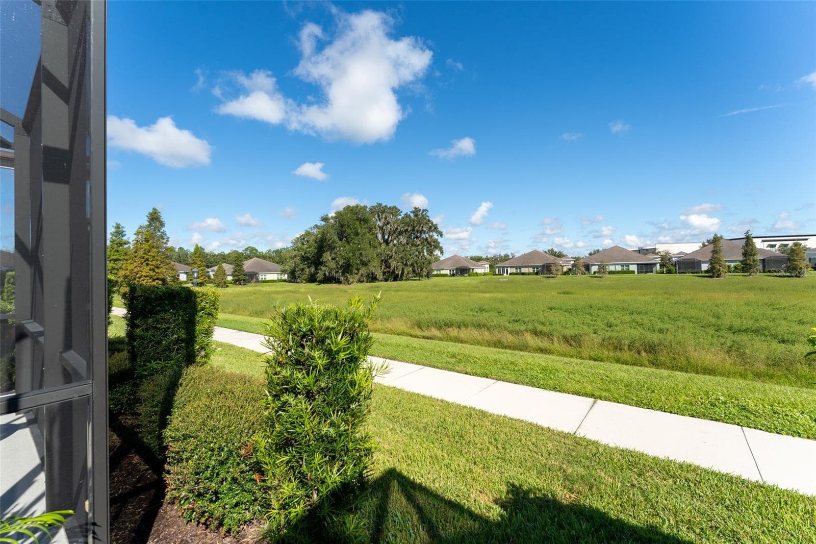 View in rear of home - 13533 CIRCA CROSSING DR, LITHIA
