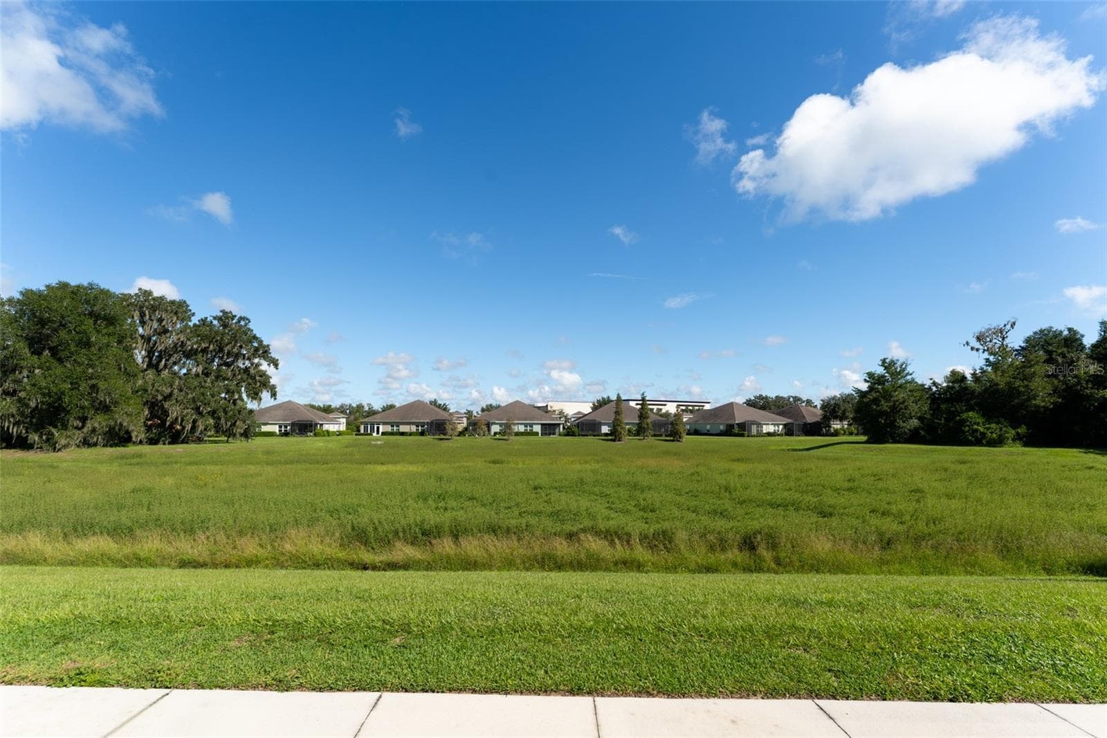 View in rear of home - 13533 CIRCA CROSSING DR, LITHIA