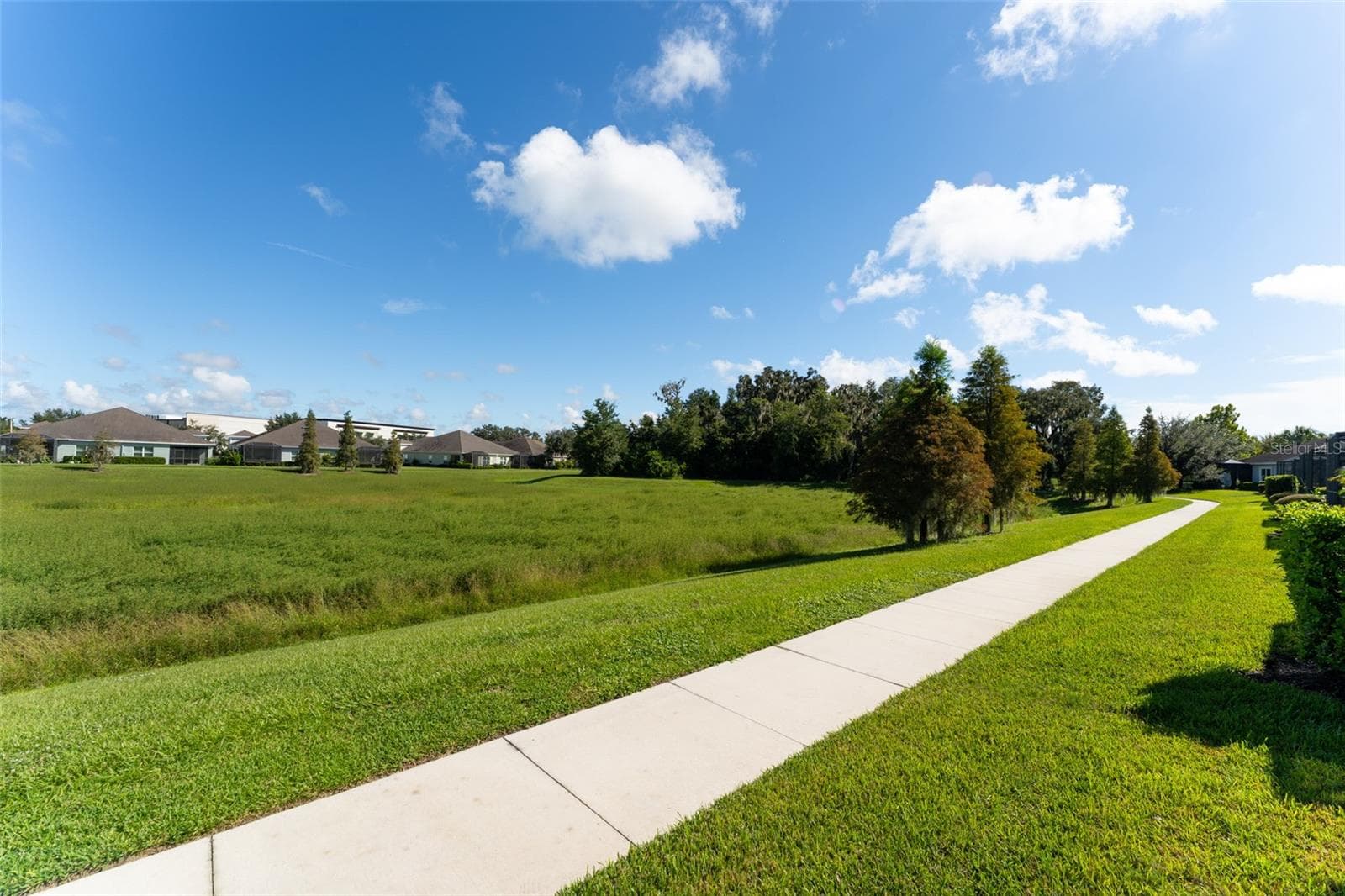 View in rear of home - 13533 CIRCA CROSSING DR, LITHIA