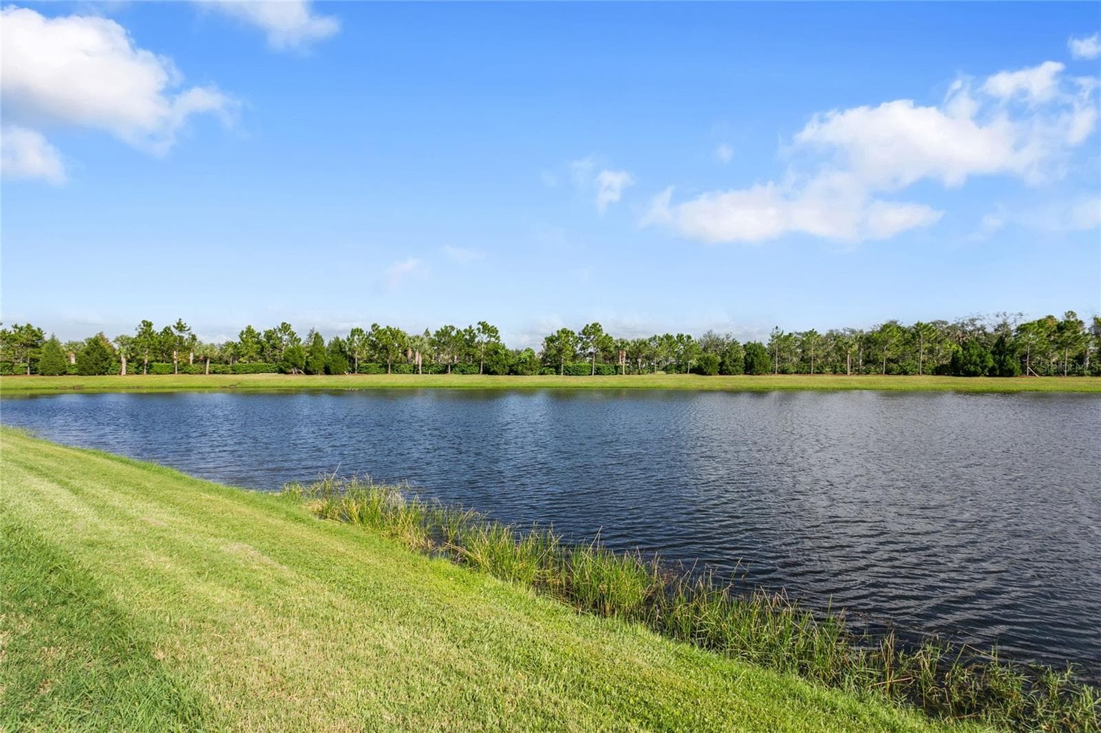 Away from power lines, the resort-style pool and spa sit on a premium homesite, offering a scenic lake view with calm water and lush natural surroundings, creating a peaceful backdrop that enhances the home’s outdoor living spaces and resort-style atmosphere. - 10625 FALLING LEAF CT, PARRISH