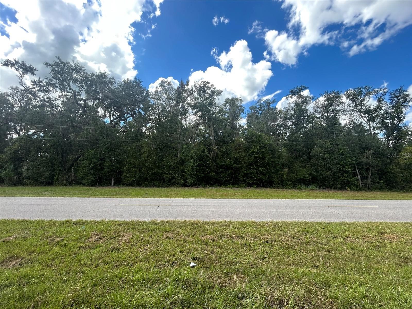 Land at TBD CR 337, MORRISTON, photo 3 of 10