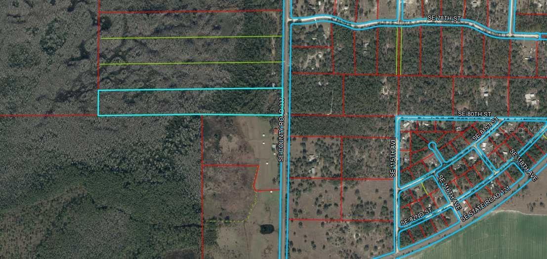 Land at TBD CR 337, MORRISTON, photo 6 of 10