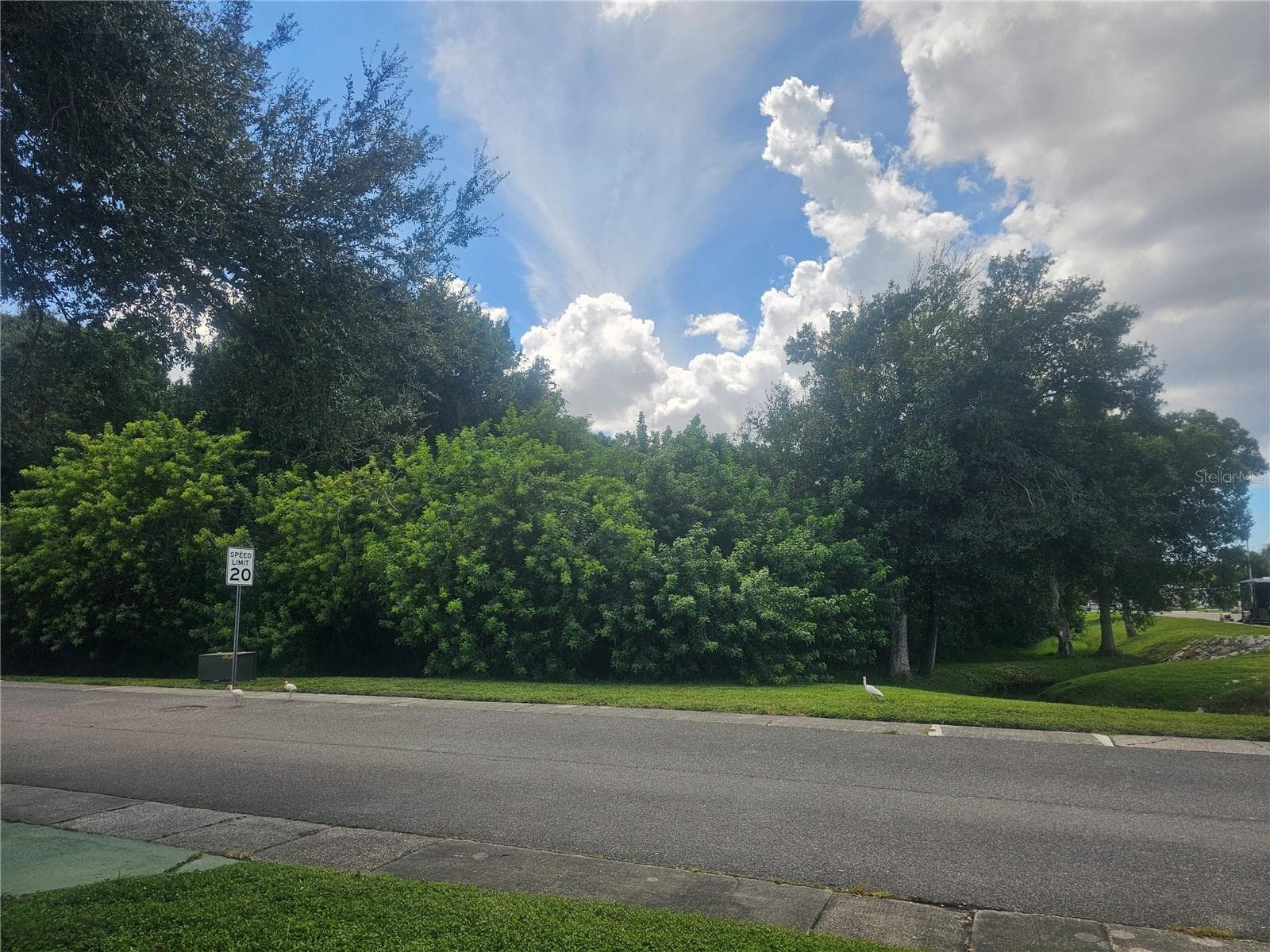 View from Side Porch - 225 TARPON LANE, OLDSMAR
