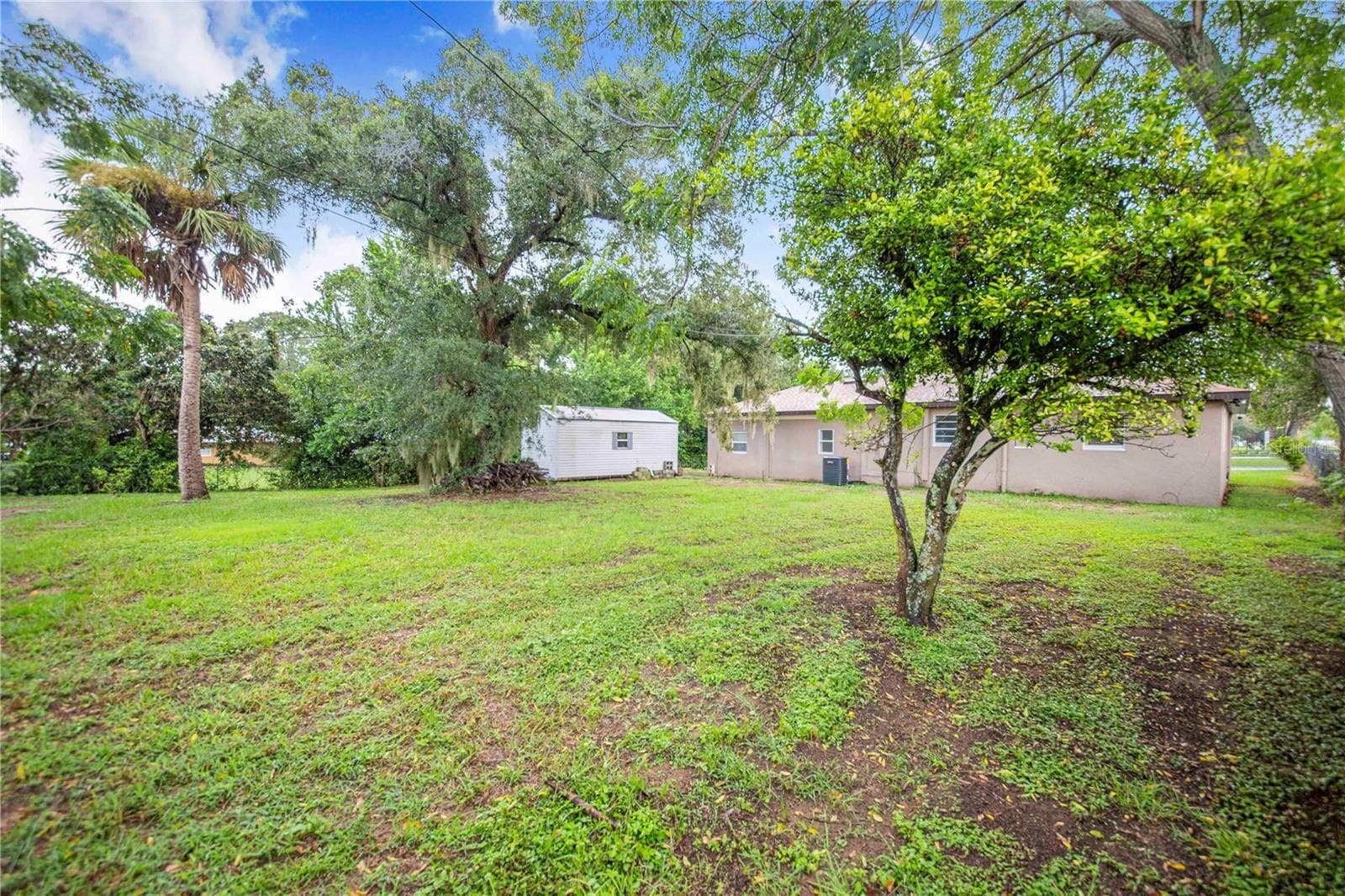Back Yard and Shed - 6 E MAGNOLIA ST, DAVENPORT