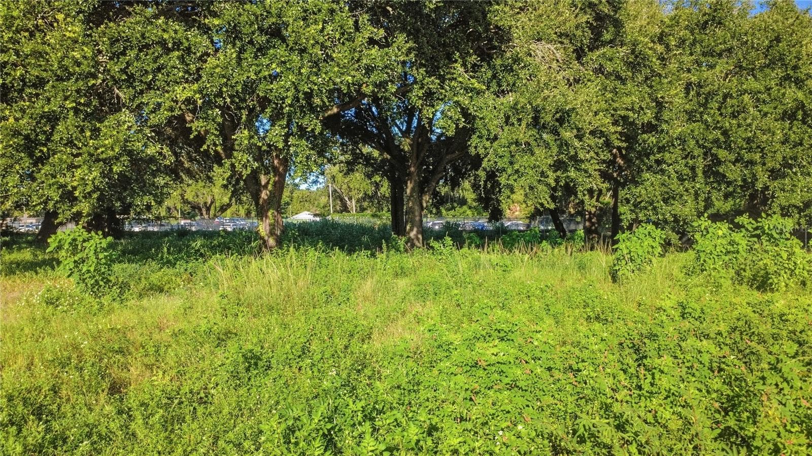 Land at 800 E CYPRESS ST, ORLANDO, photo 9 of 14