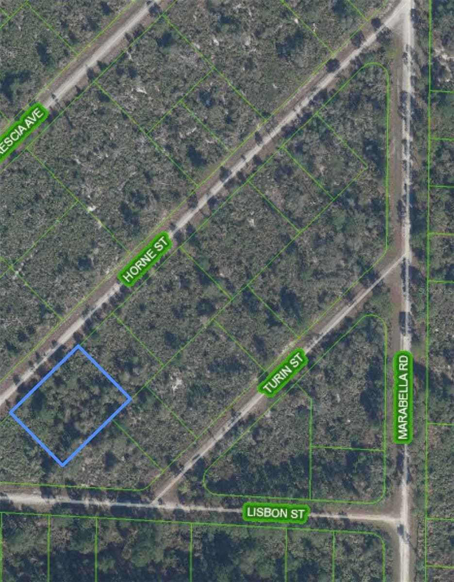 Land at 3513 TURIN ST, LAKE PLACID, photo 5 of 6