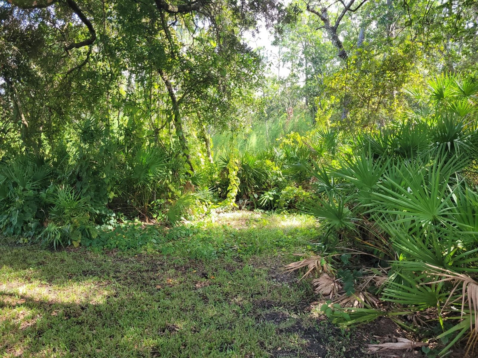 Single Family Residence at 13706 RIVERPATH GROVE DR, ORLANDO, photo 25 of 39