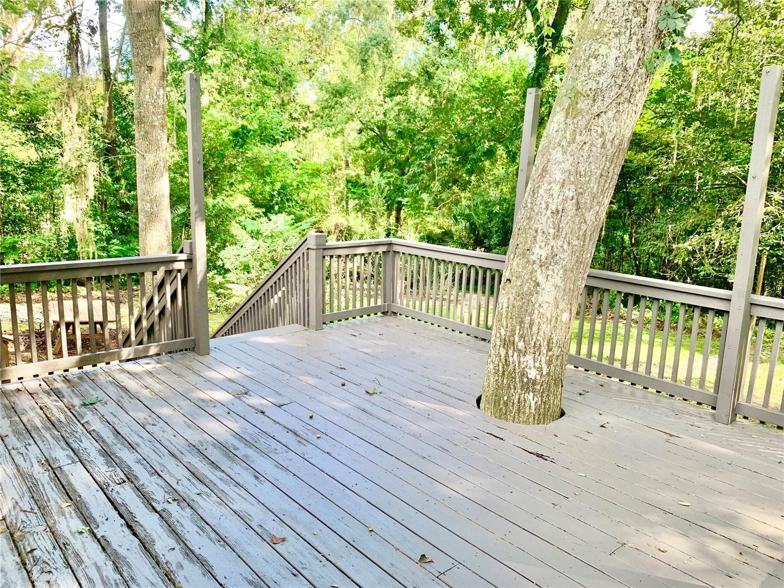 Rear Deck - 3305 NW 24TH AVE, GAINESVILLE