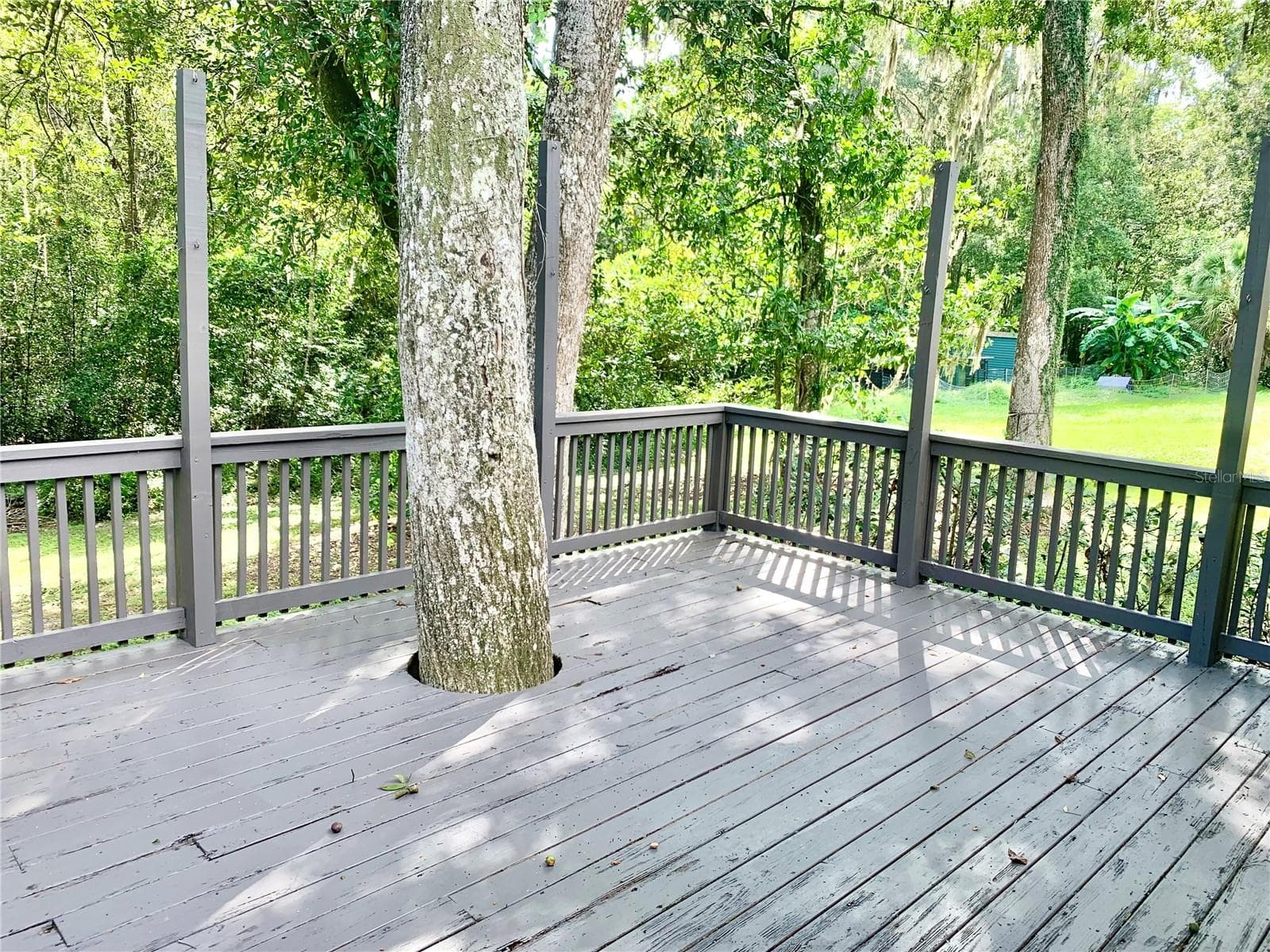 Rear Deck - 3305 NW 24TH AVE, GAINESVILLE