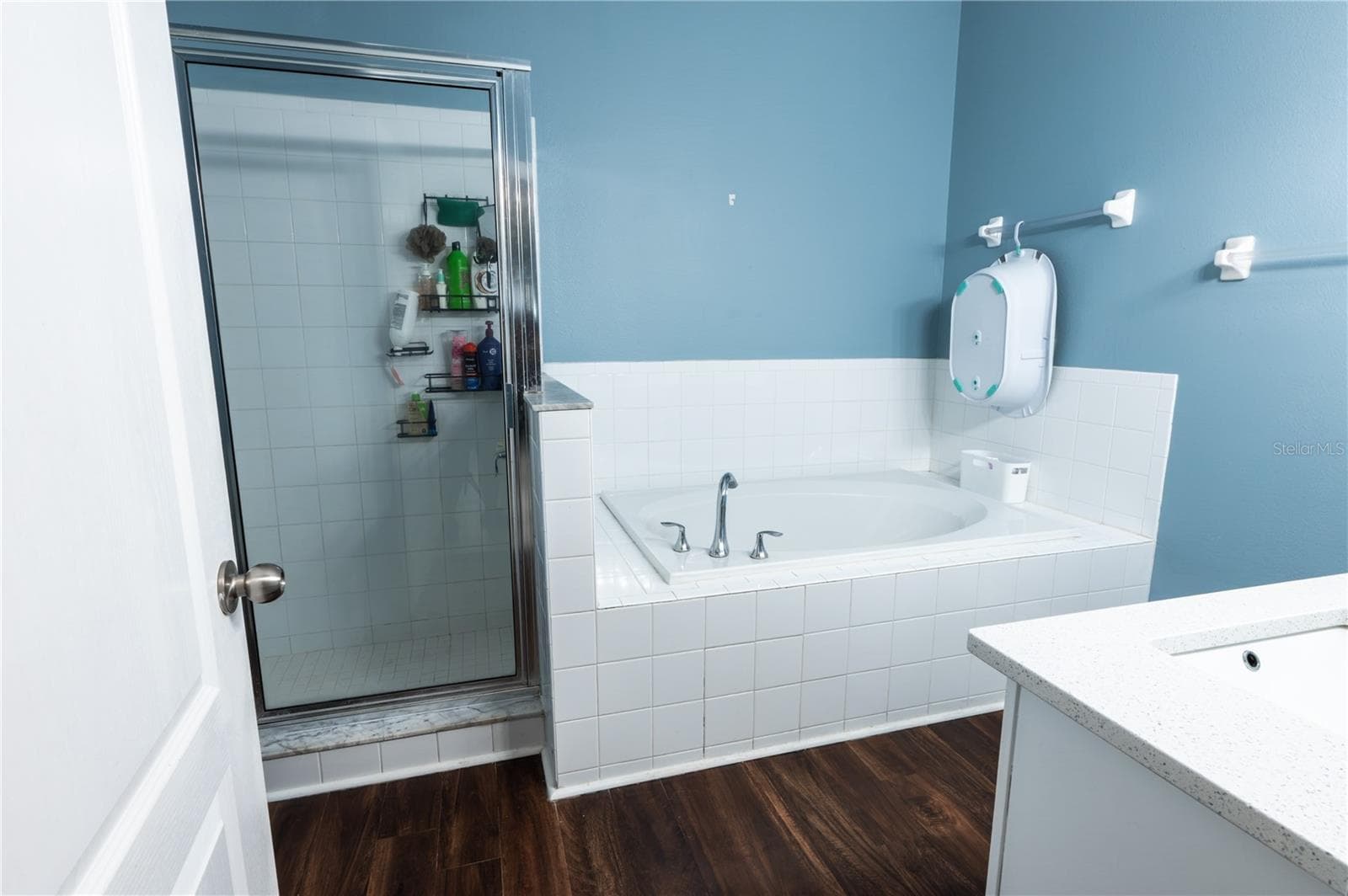 Master Bath - 7286 CEDARCREST BLVD, LAKELAND