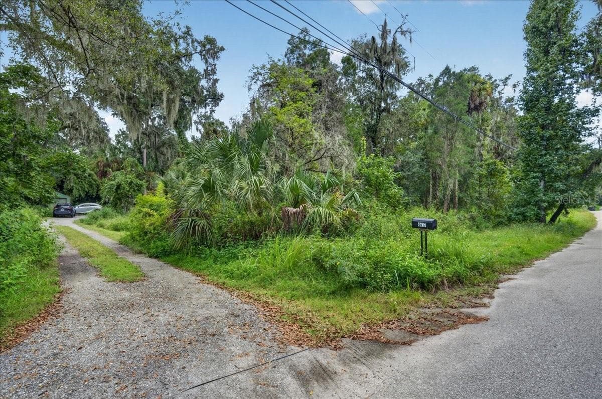 Very private from street - 4417 RIVER DR, VALRICO