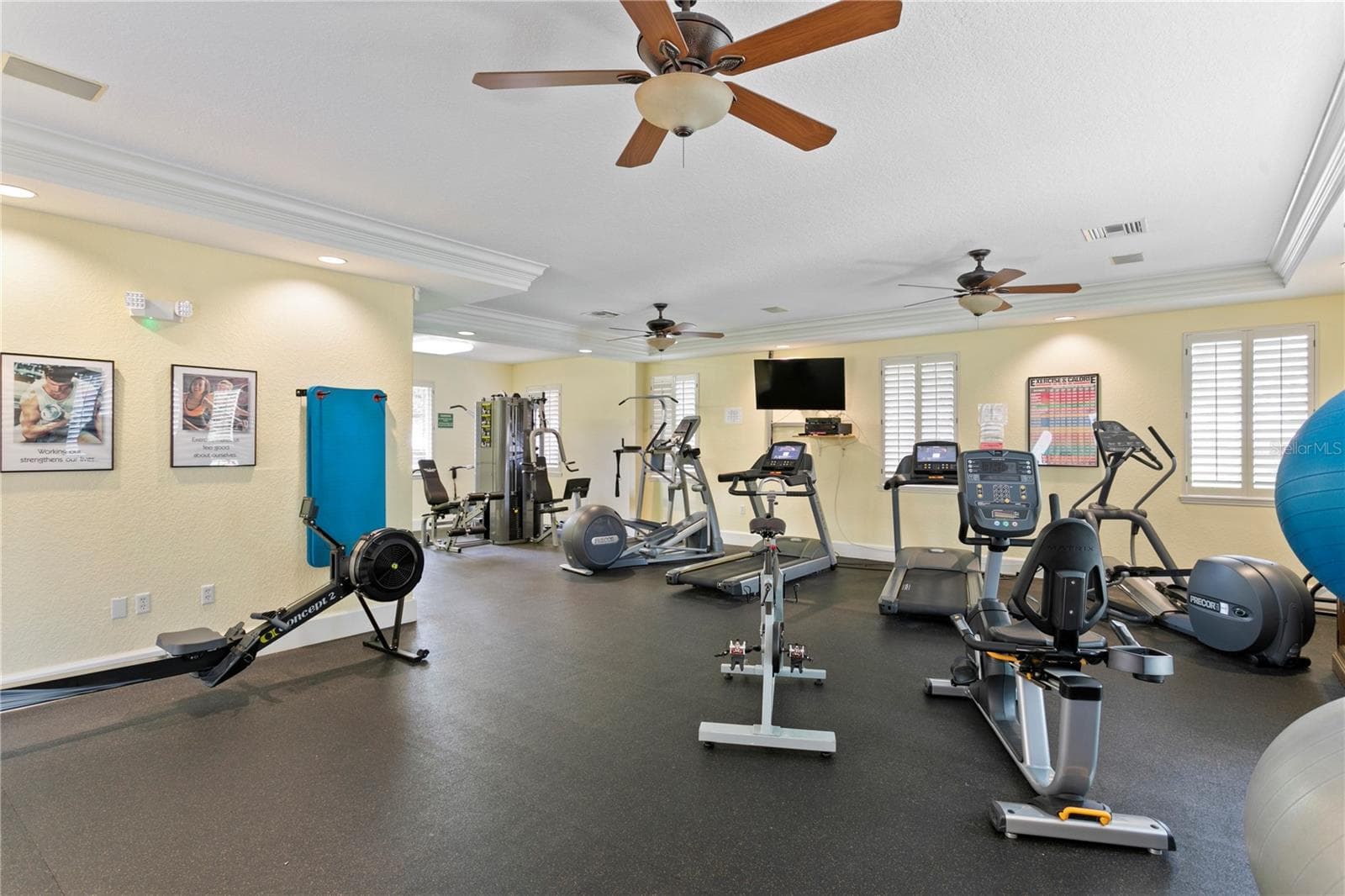 Fitness Area - 4961 BACOPA LN S #201, ST PETERSBURG