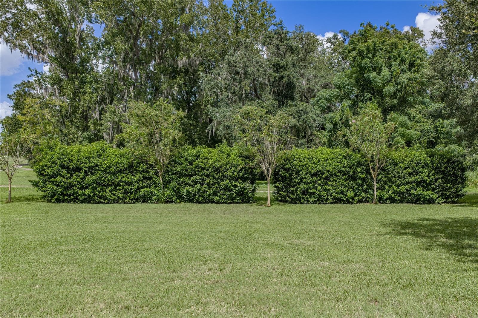 Single Family Residence at 13353 CARNOUSTIE CIR, DADE CITY, photo 89 of 93