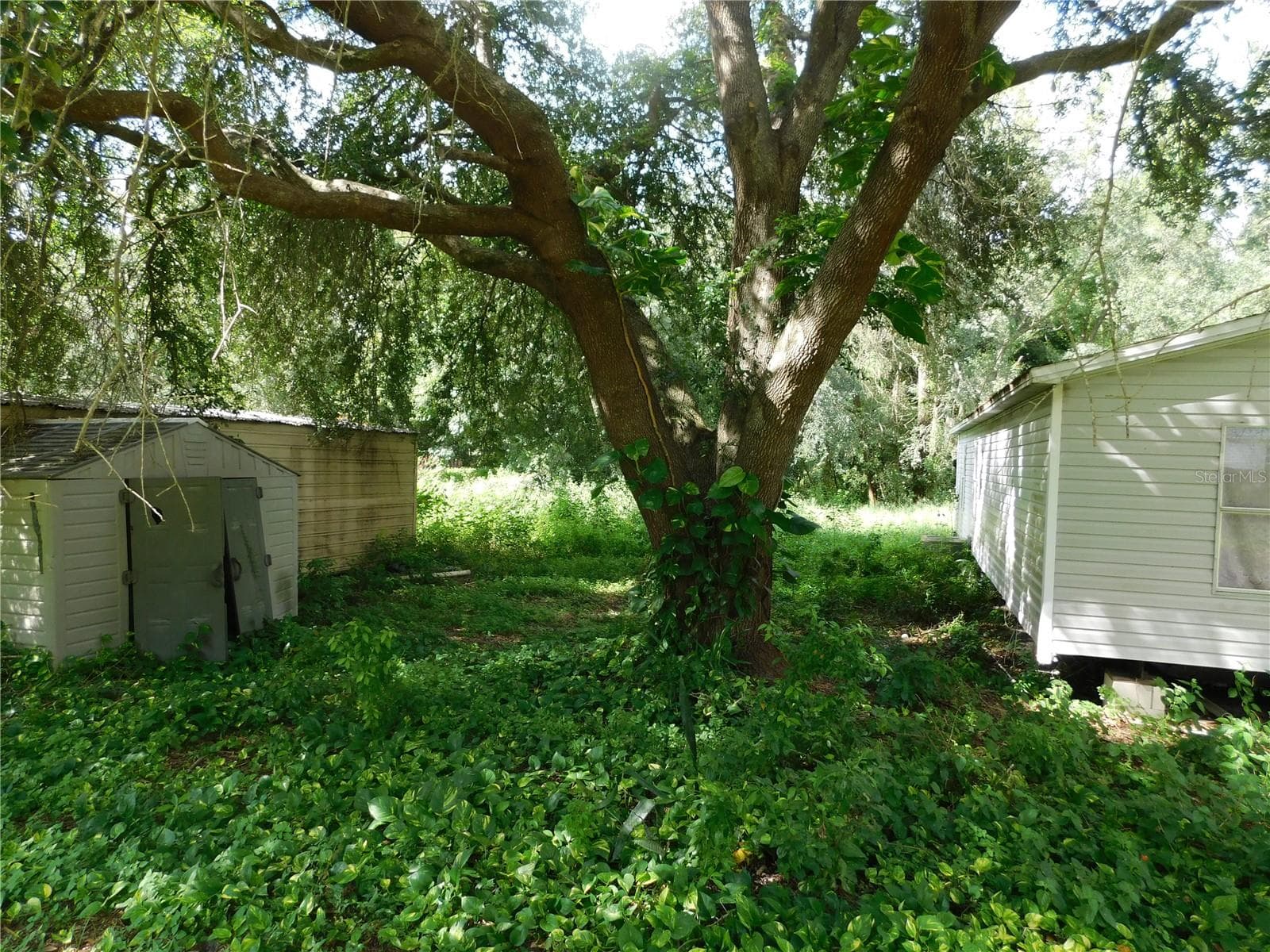 Modular Home at 30501 CLEARVIEW DR, WESLEY CHAPEL, photo 36 of 41