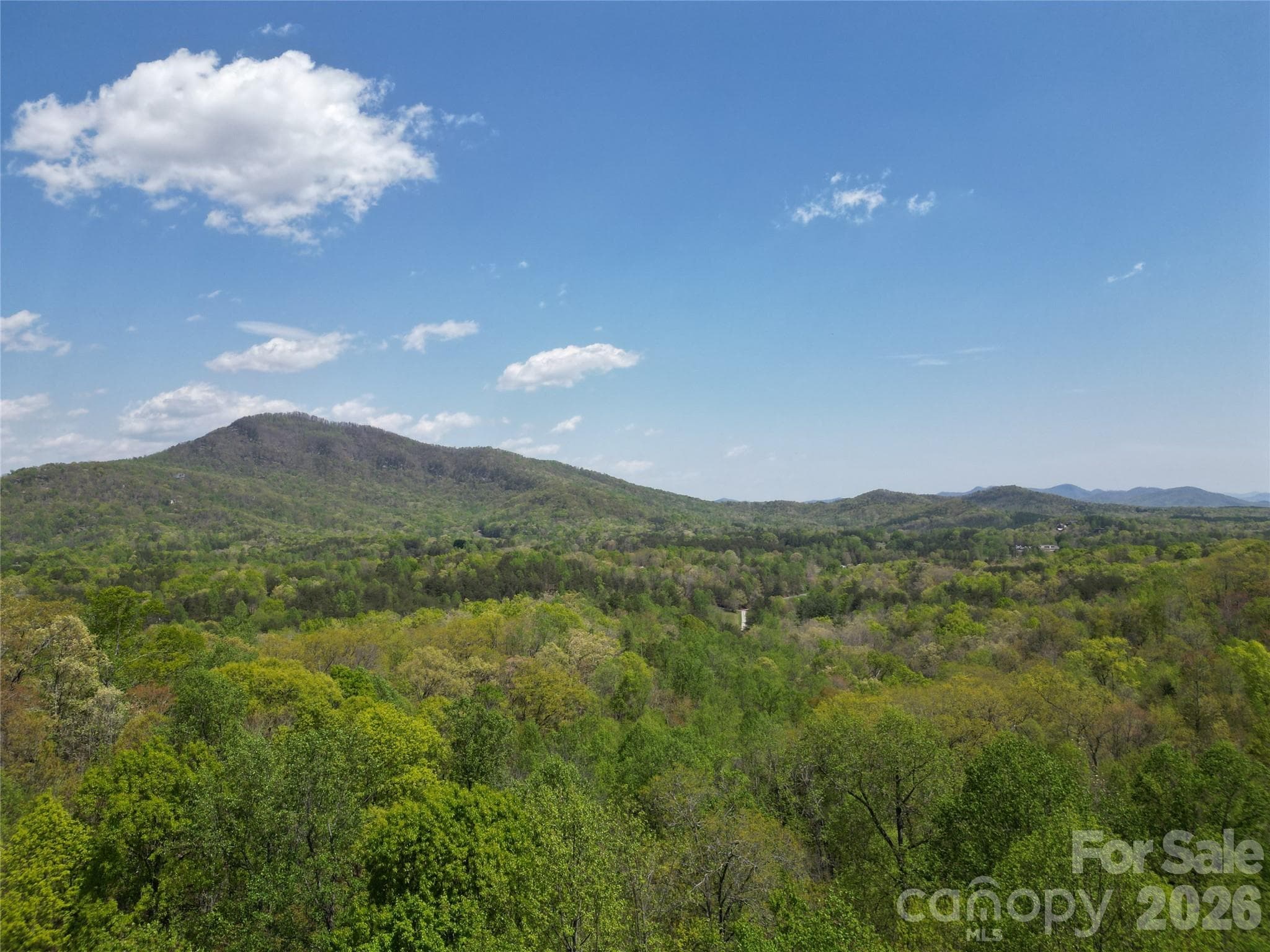 Lot at Lake Lure, photo 6 of 49