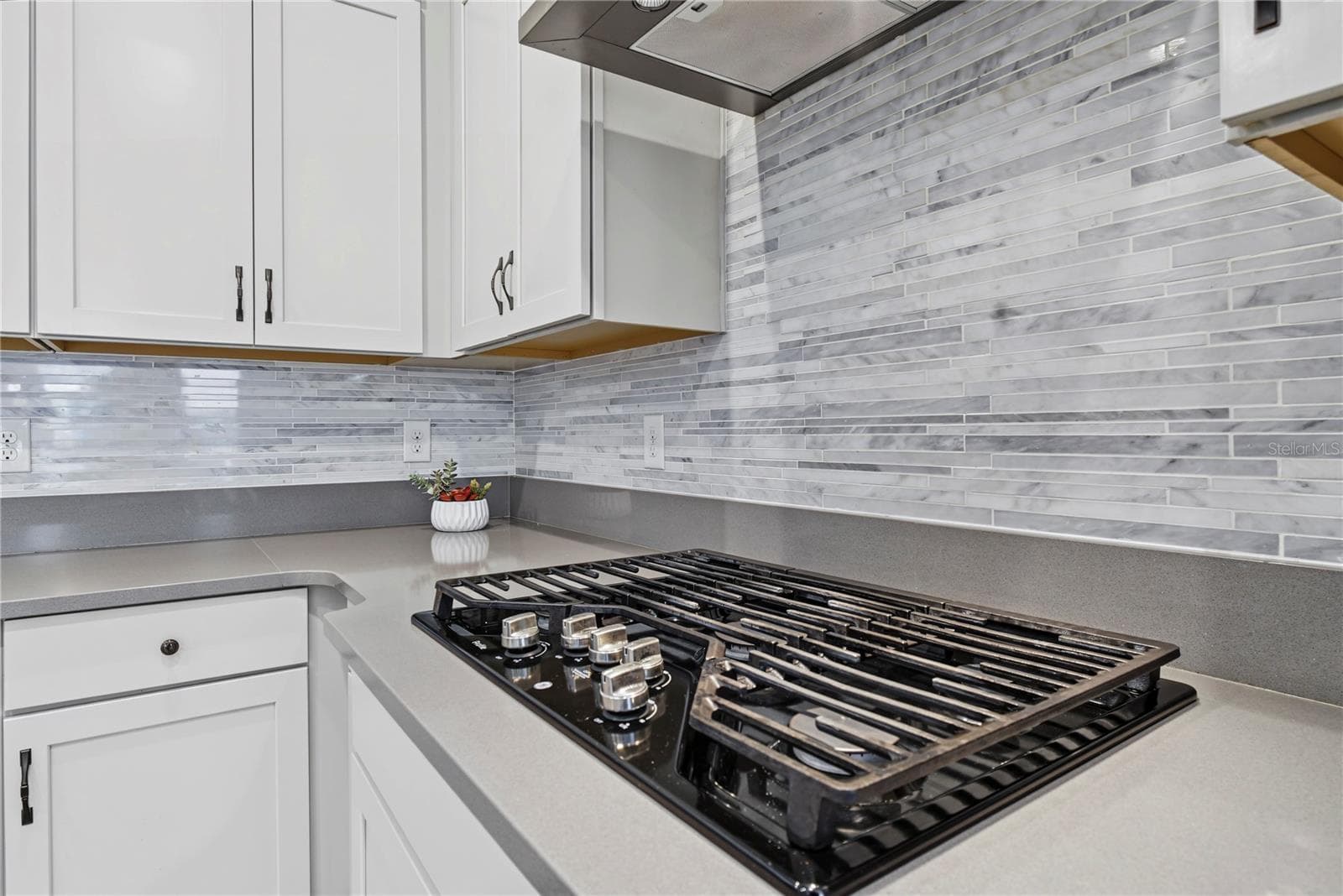 Single Family Residence at 776 ORANGE BELT LOOP, WINTER GARDEN, photo 11 of 35
