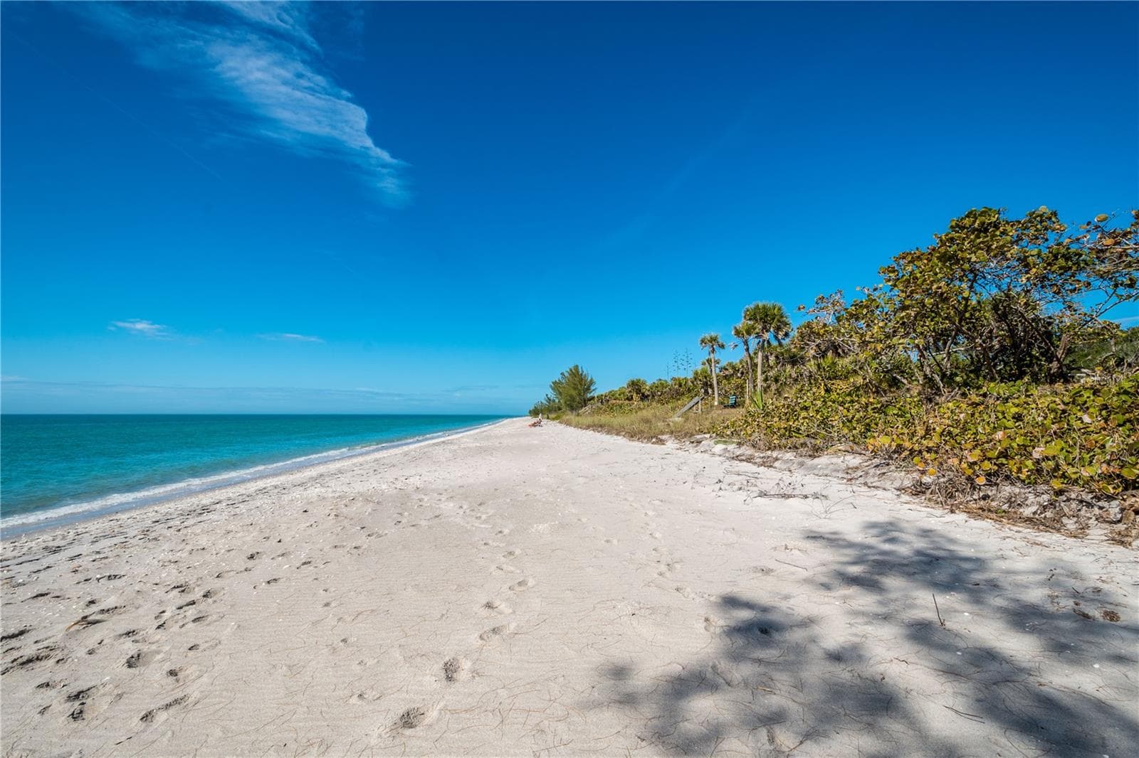 Make your own footprints! - 1751 BEACH RD #202, ENGLEWOOD