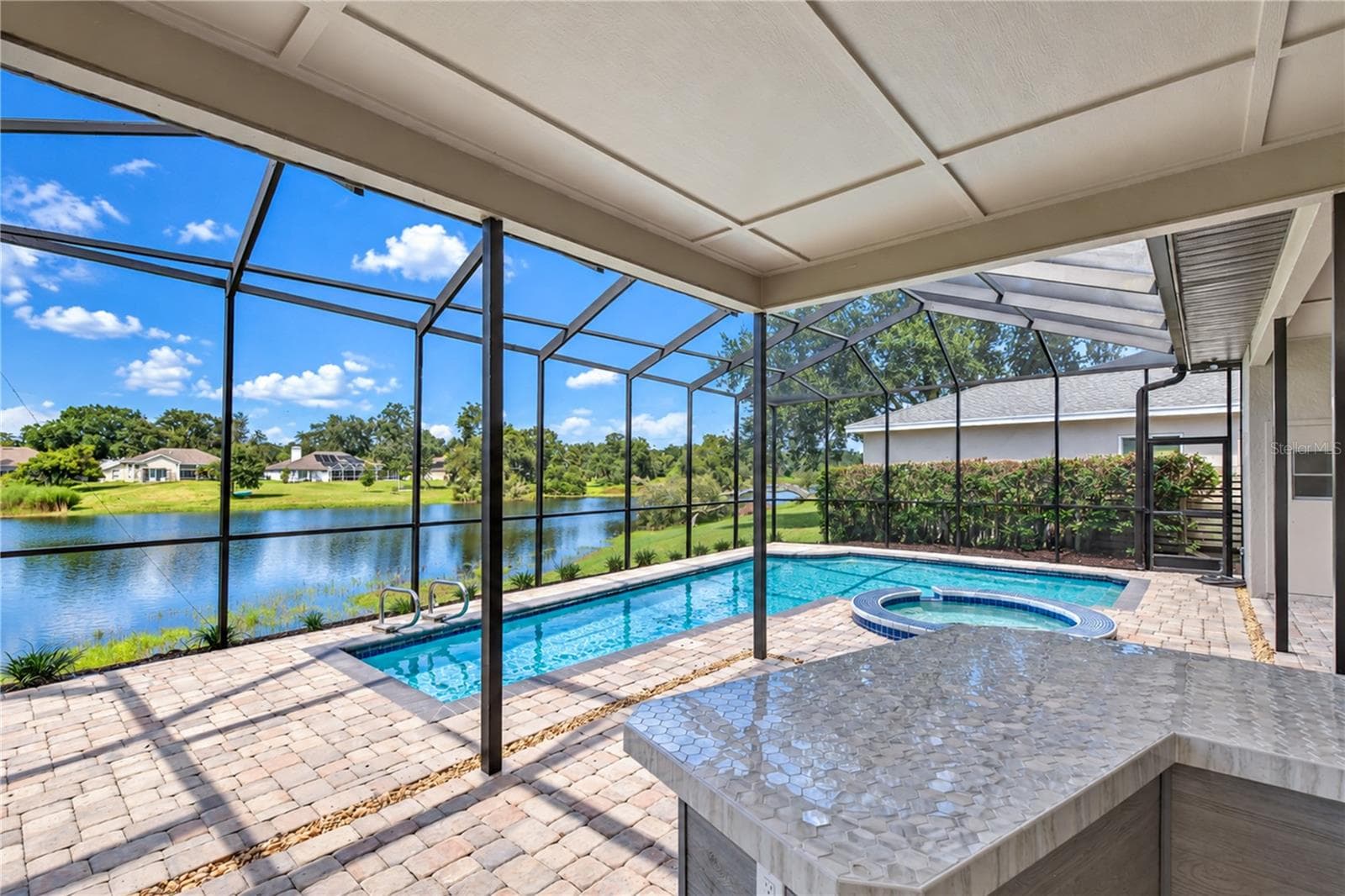 Pool - 806 SANDRINGHAM LN, LUTZ