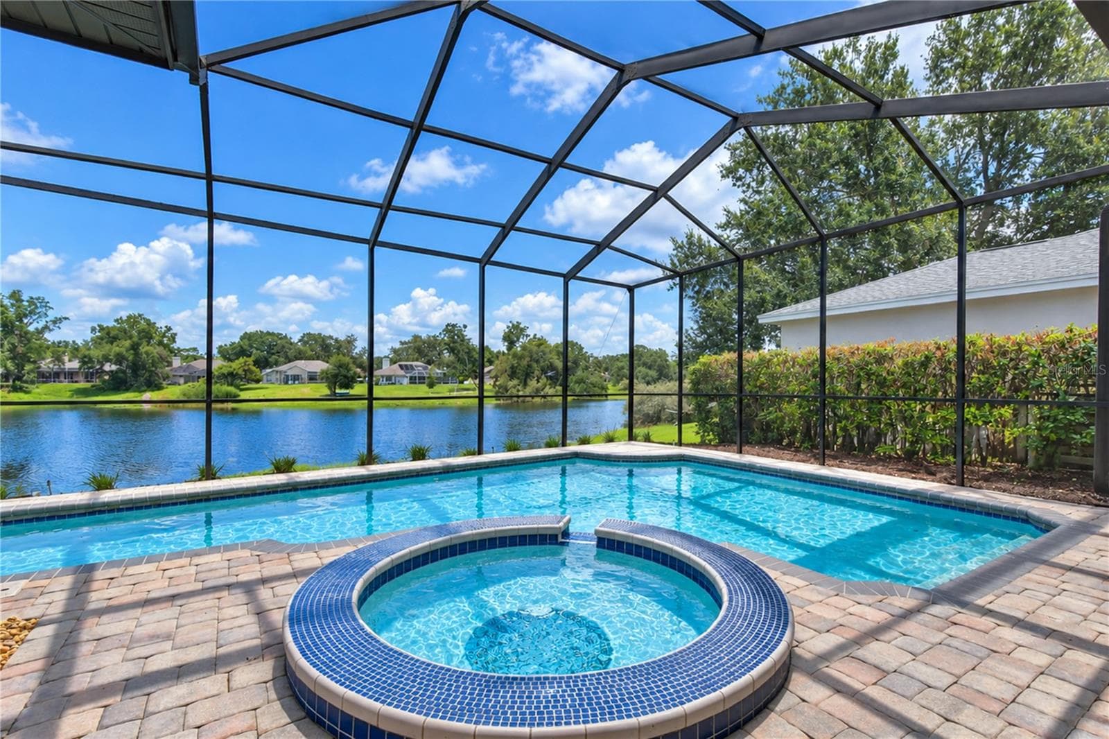 Spa/Pool - 806 SANDRINGHAM LN, LUTZ