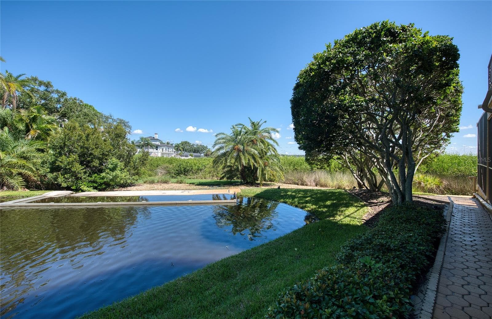 Side pond (2) - 103 ROYAL CT, SAFETY HARBOR