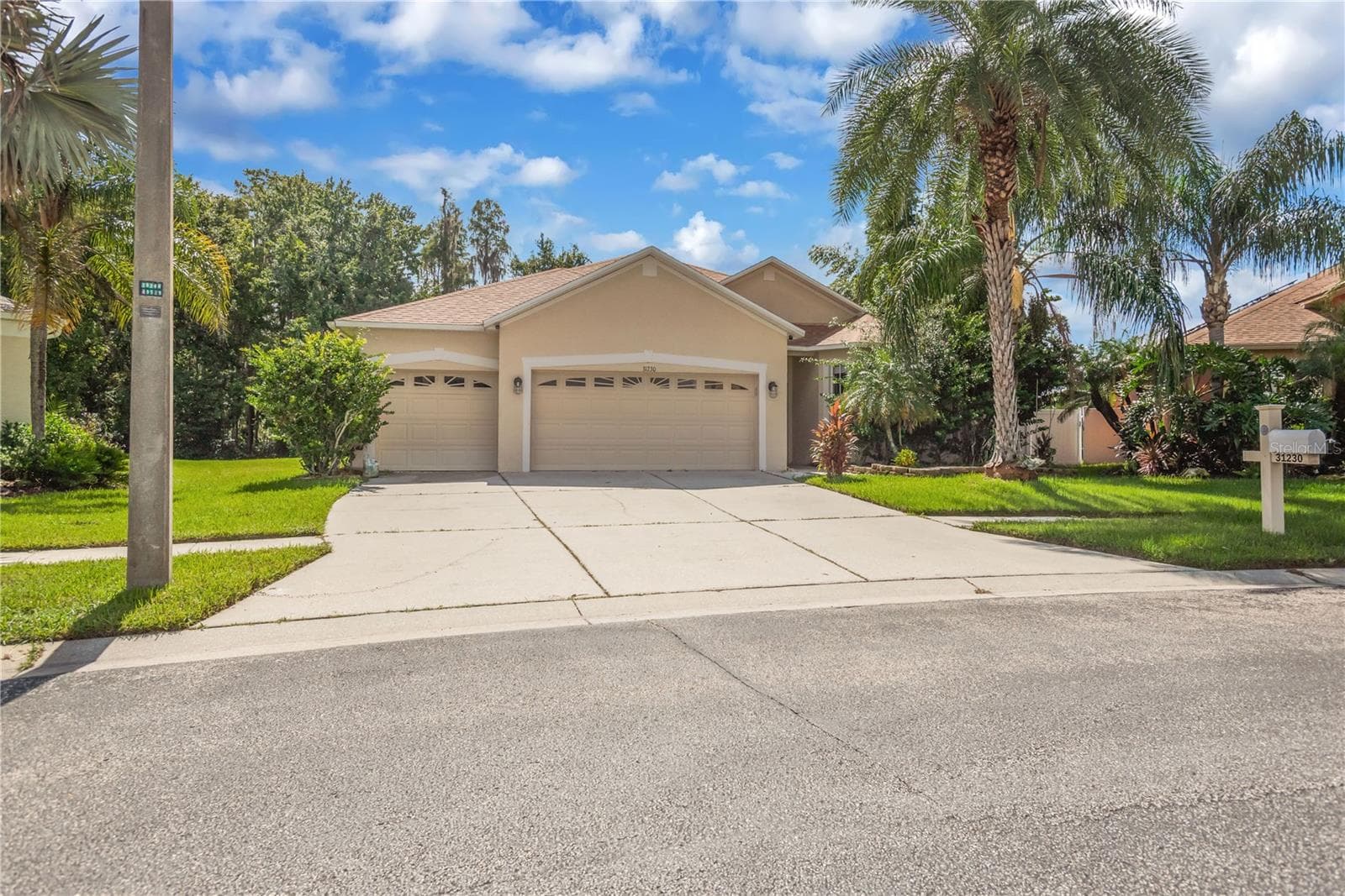 3 Car Garage - 31230 ALCHESTER DR, WESLEY CHAPEL