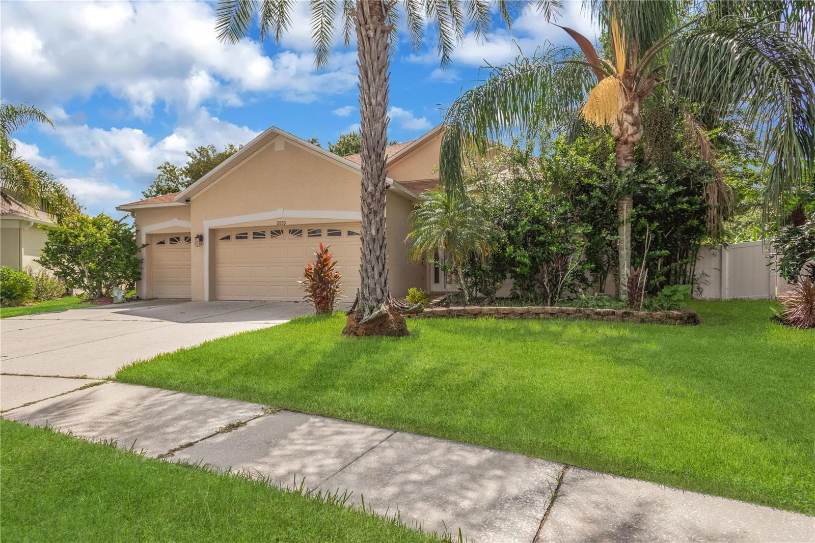 Sidewalks - 31230 ALCHESTER DR, WESLEY CHAPEL