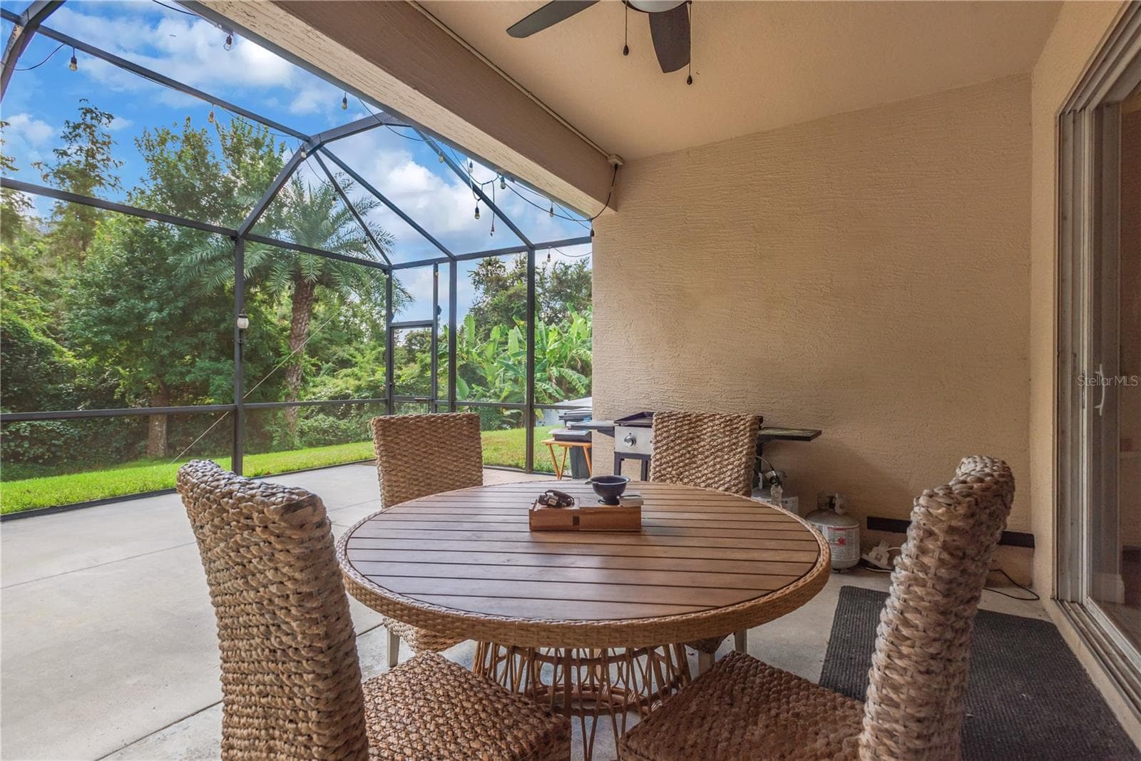 Covered Patio - 31230 ALCHESTER DR, WESLEY CHAPEL