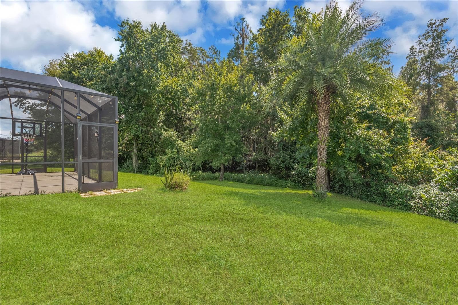 Conservation views. - 31230 ALCHESTER DR, WESLEY CHAPEL