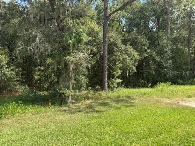Single Family Residence at 17889 SW 61ST LANE RD, DUNNELLON, photo 13 of 22