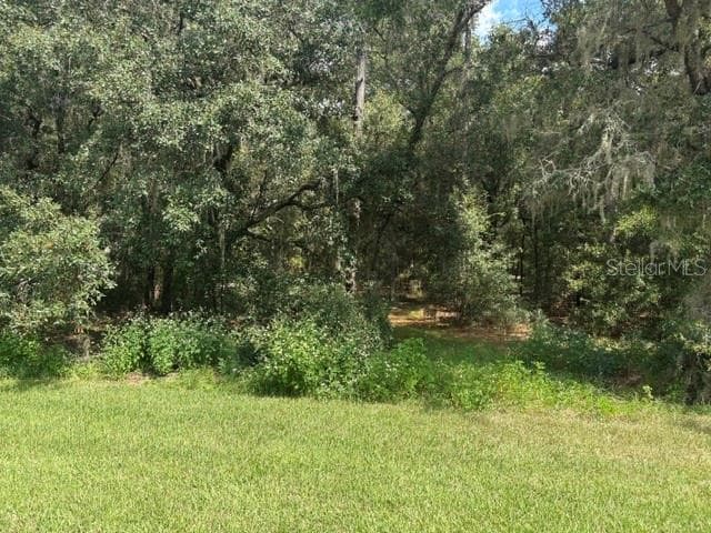 Single Family Residence at 17889 SW 61ST LANE RD, DUNNELLON, photo 14 of 22
