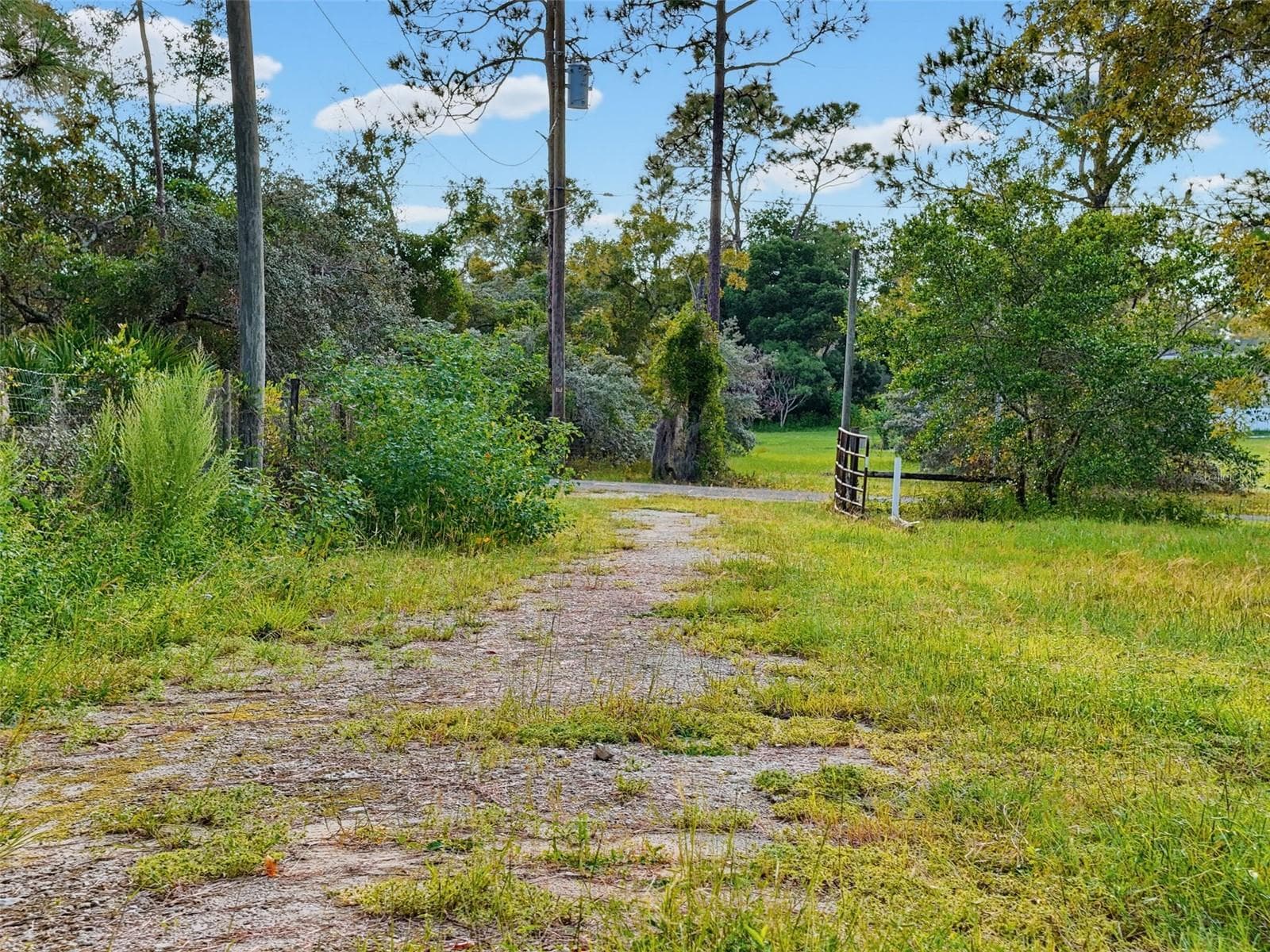 Land at 7245 S BLACKBERRY PT, HOMOSASSA, photo 41 of 43