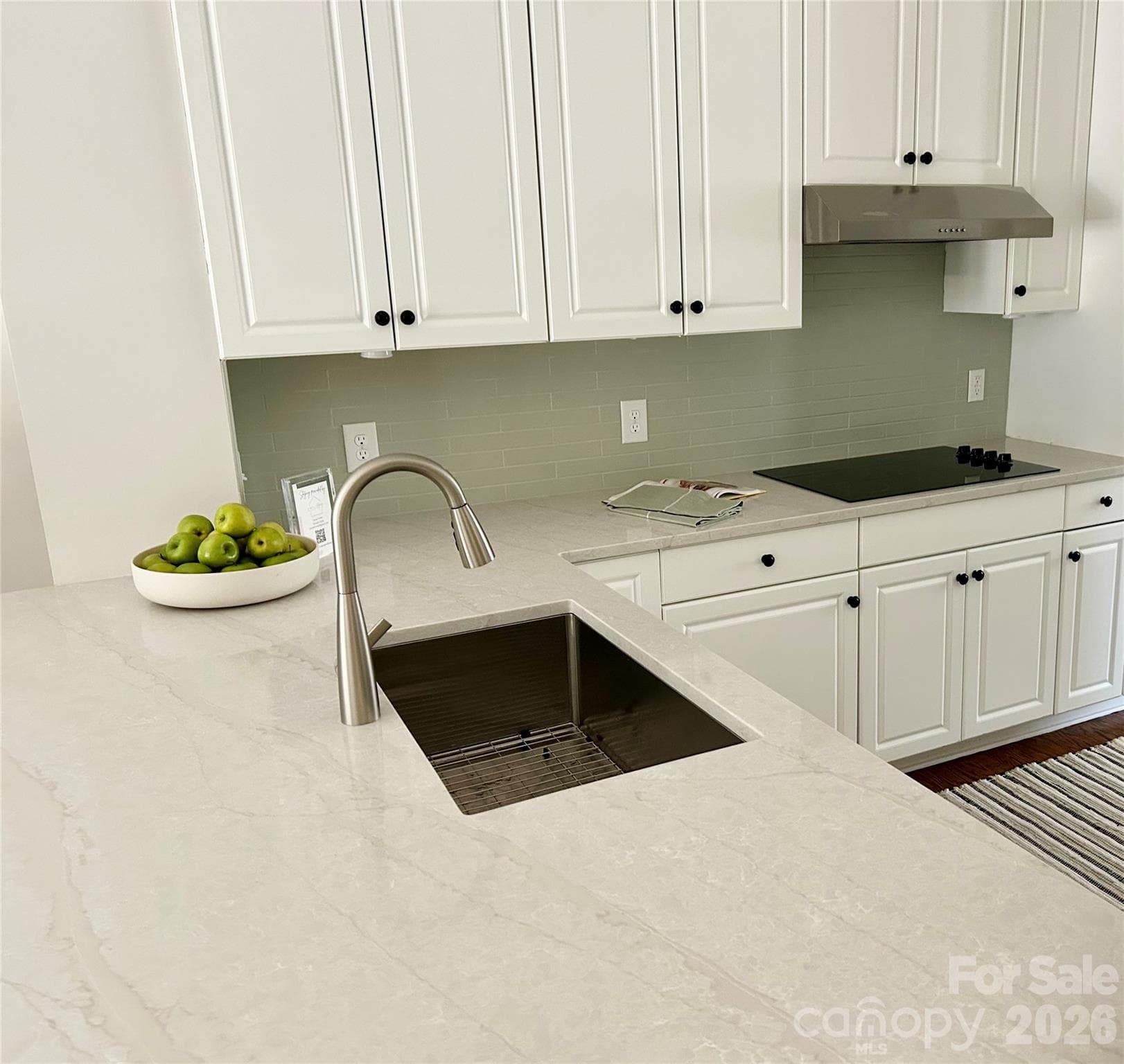 Condominium at 225 Sloane Square Way, Charlotte, photo 13 of 33