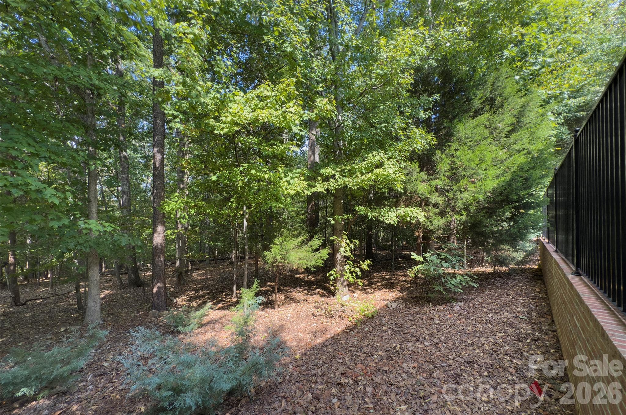 No backyard neighbor - 2561 Lower Assembly Drive, Fort Mill
