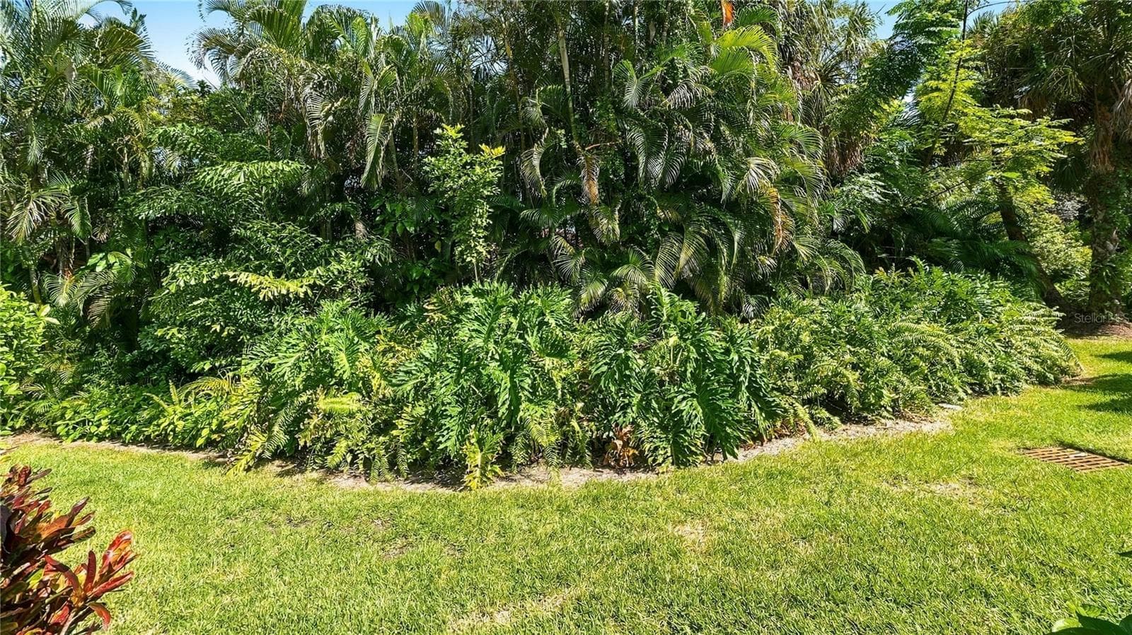 Backyard Lush Green View - 4802 KESTRAL PARK CIR #22, SARASOTA