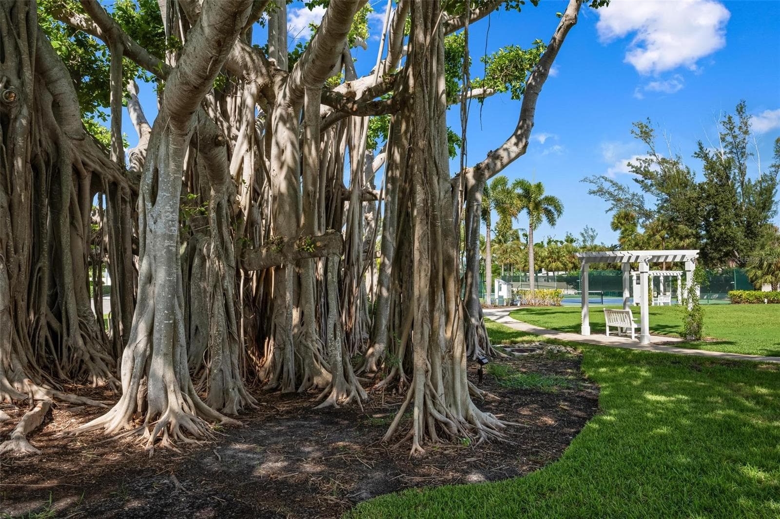 Community - 319 PILOT POINT LN, BOCA GRANDE
