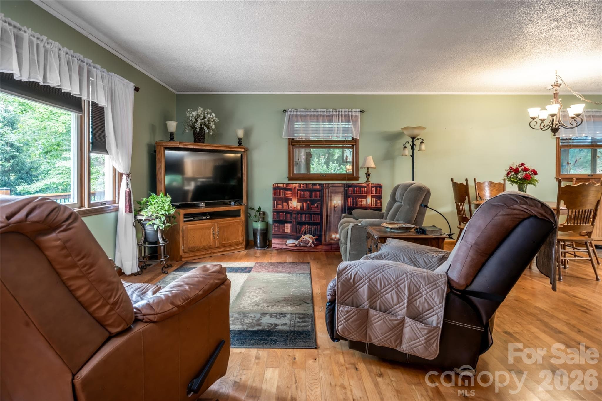 Single Family Residence at 101 Guffey Mountain Road, Fairview, photo 10 of 48