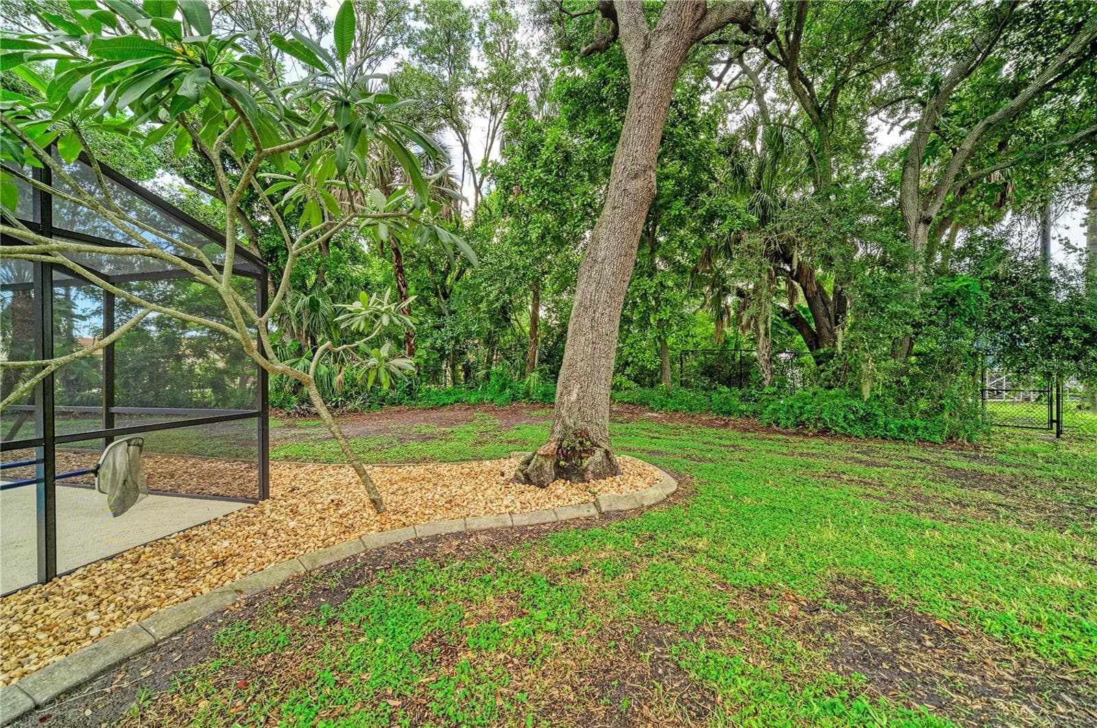 Back Yard 01 - 4502 33RD AVE W, BRADENTON