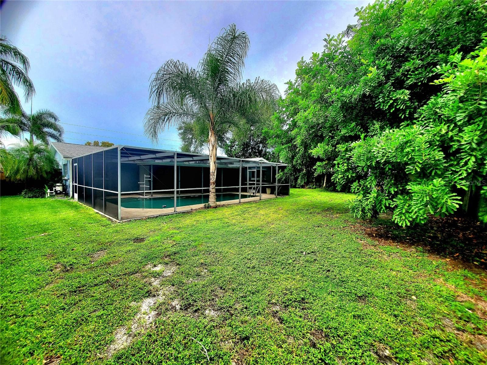 BIG BACKYARD - 2138 GROVE PL, CLEARWATER