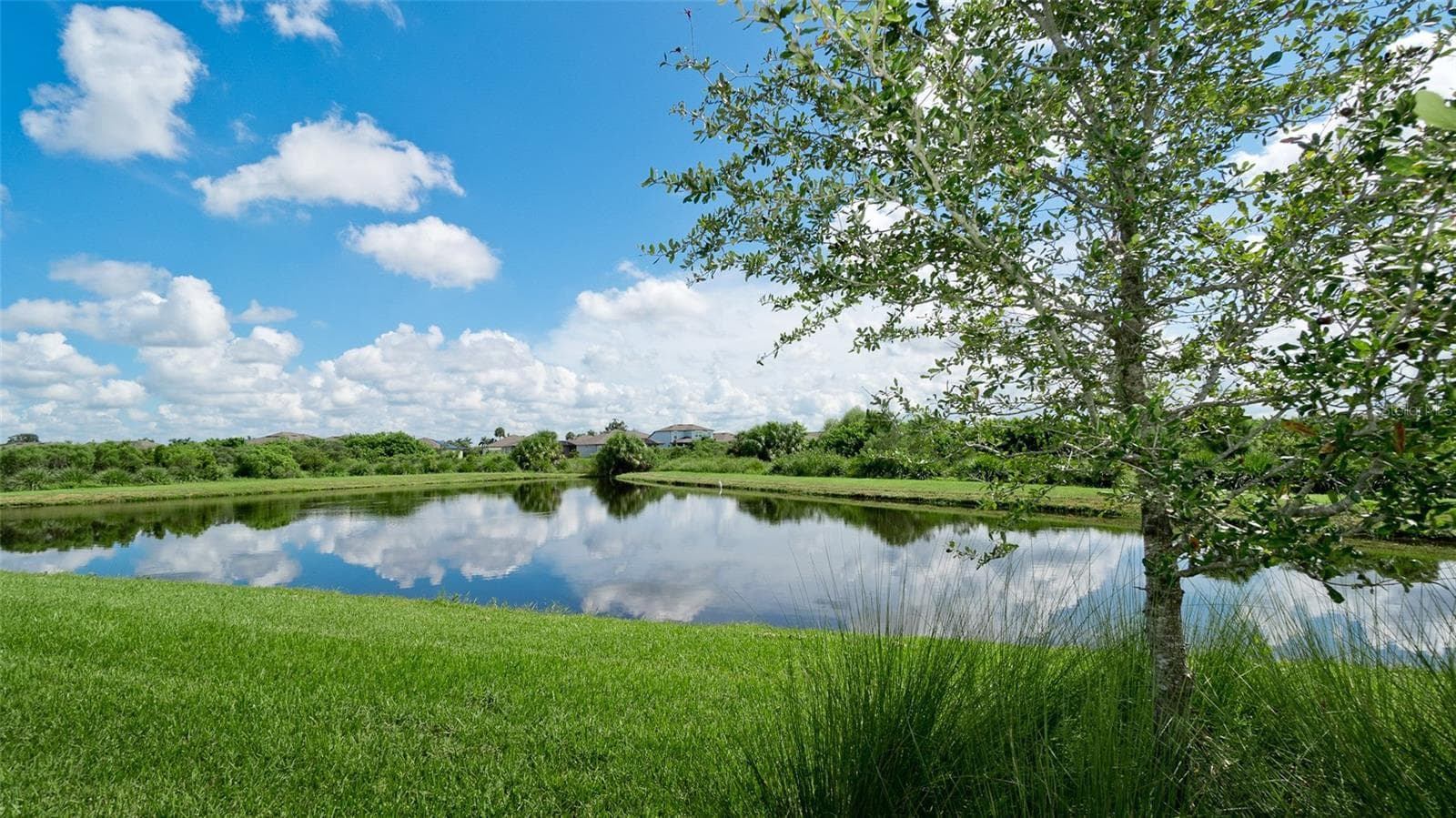 Your premium, relazing view from the back of home - 10511 SPRING TIDE WAY, PARRISH