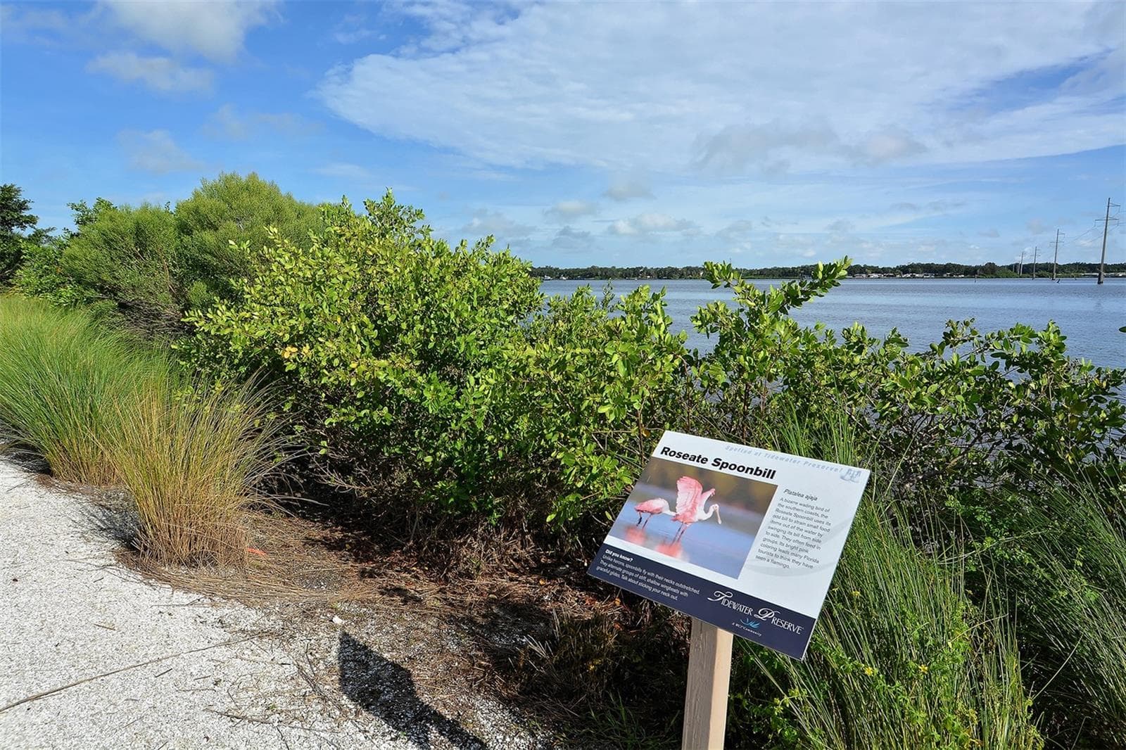 Condominium at 1030 TIDEWATER SHORES LOOP #105, BRADENTON, photo 55 of 75
